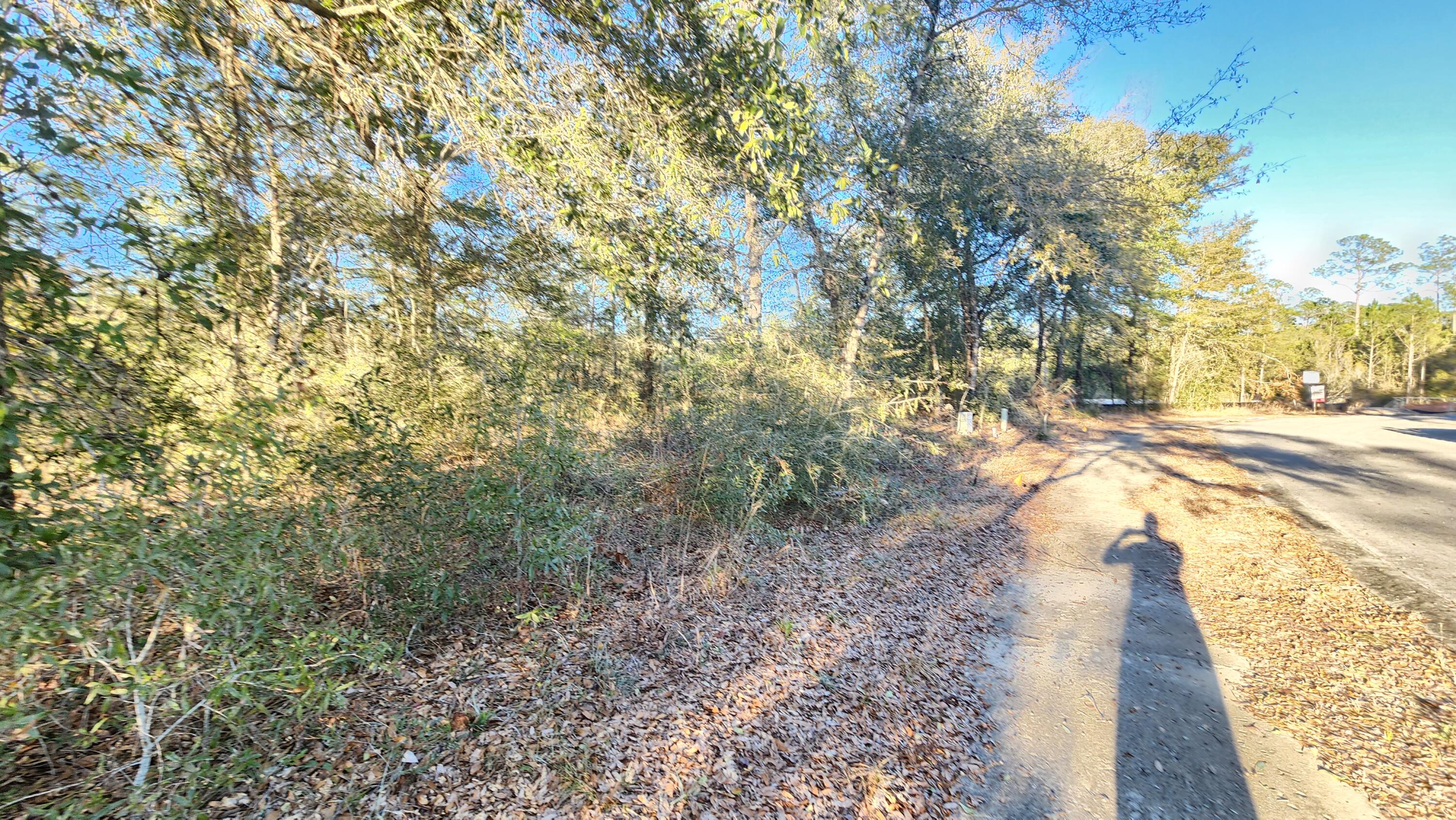 Juniper Trace - Land