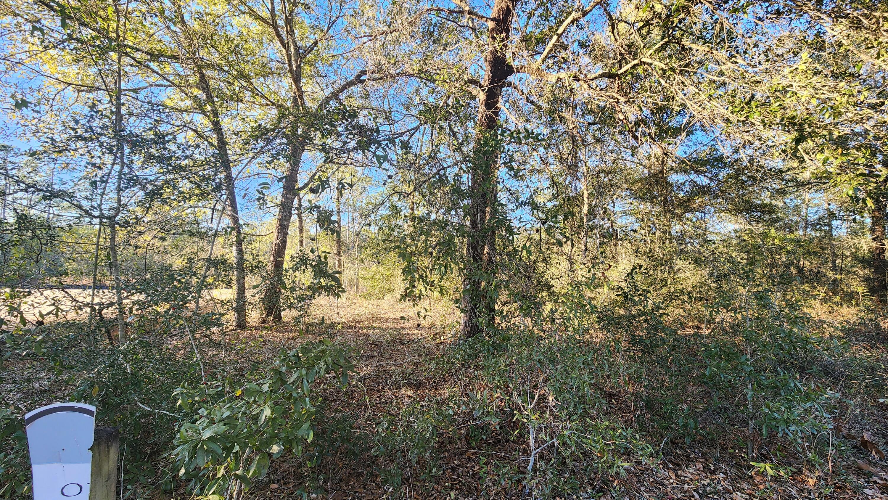 Juniper Trace - Land
