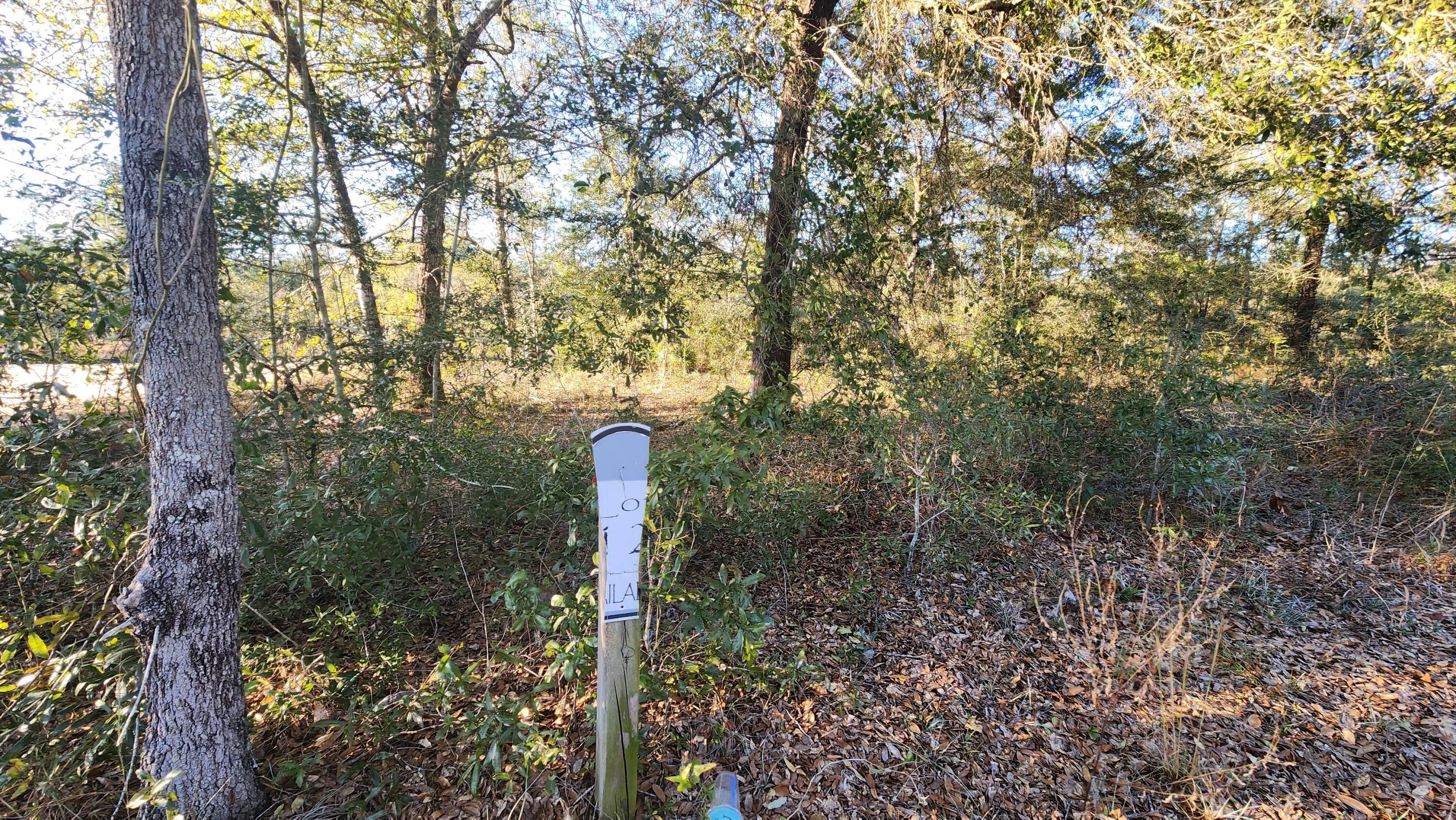 Juniper Trace - Land