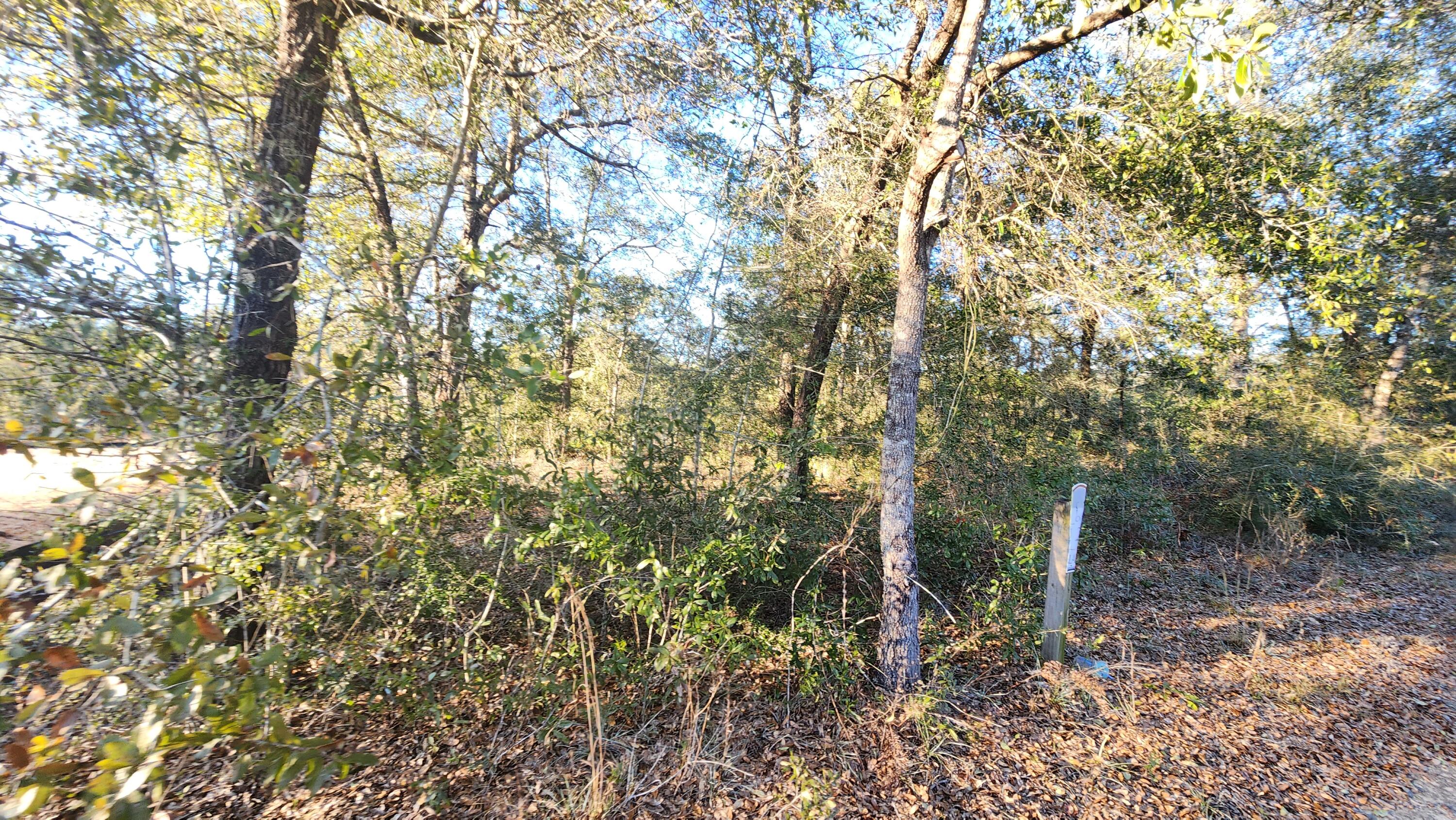 Juniper Trace - Land