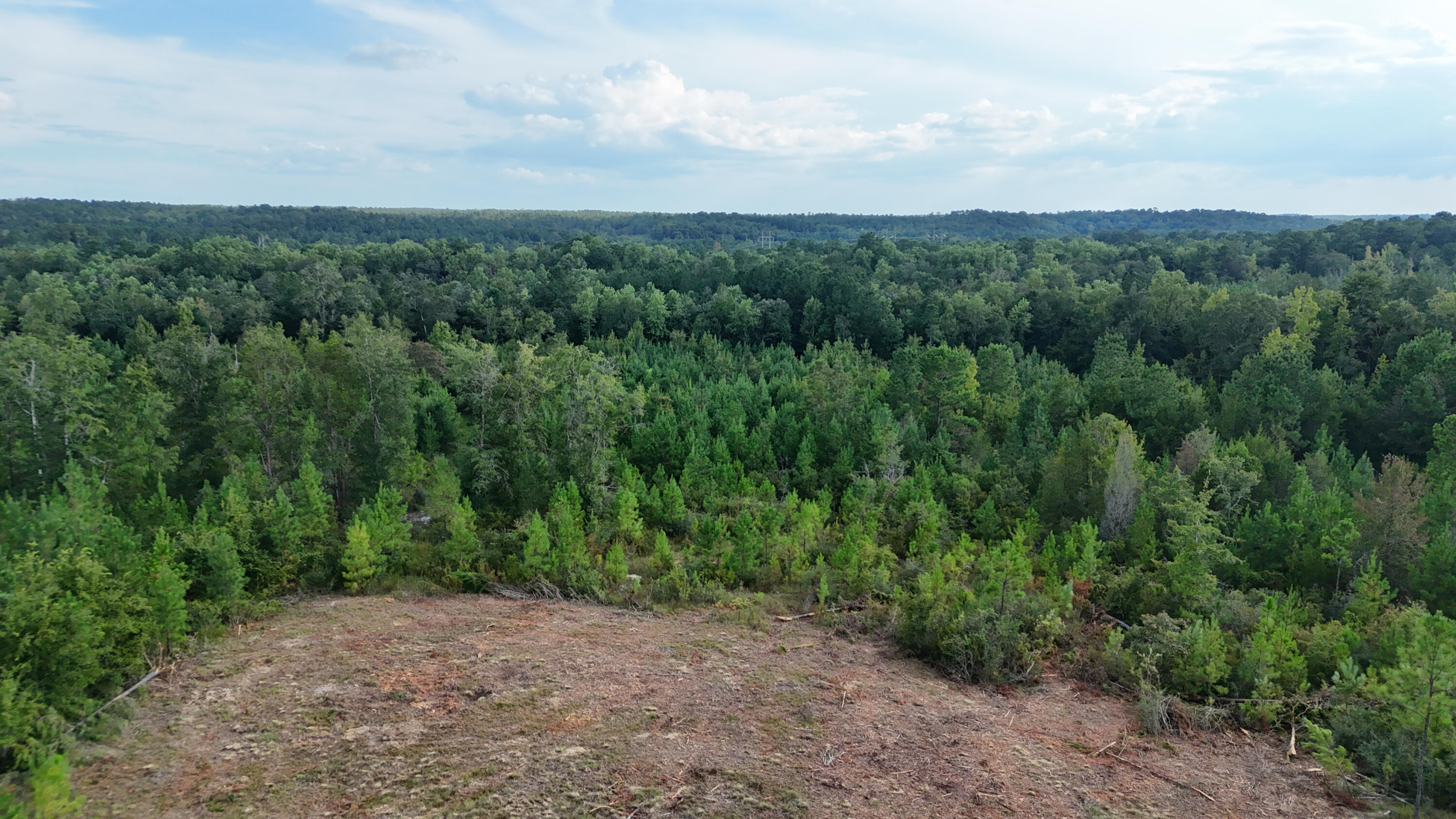 This expansive 150-acre parcel of vacant land, ideally located near Highway 90 and the Mossy Head exit off Interstate 10, presents an exceptional opportunity for development or investment. The property offers convenient access to major highways, with utilities such as public water and electricity readily available.

Relax by the creek that flows through the land, and enjoy the peaceful sounds of running water in complete privacy. For hunting enthusiasts, this property provides the unique convenience of hunting in your own backyard. Whether you're looking for a secluded retreat or a versatile investment, this land has it all!
