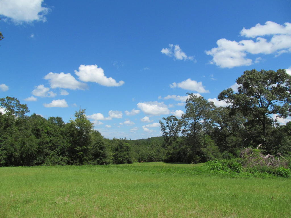 Beautiful 20 acre wooded parcel in North Walton County. Approximately 2.5 acres of the subject property has been cleared,
The property is loaded with big hardwoods and pines. Lots of wildlife. Big deer country. Price right at $2800.00 per acre.