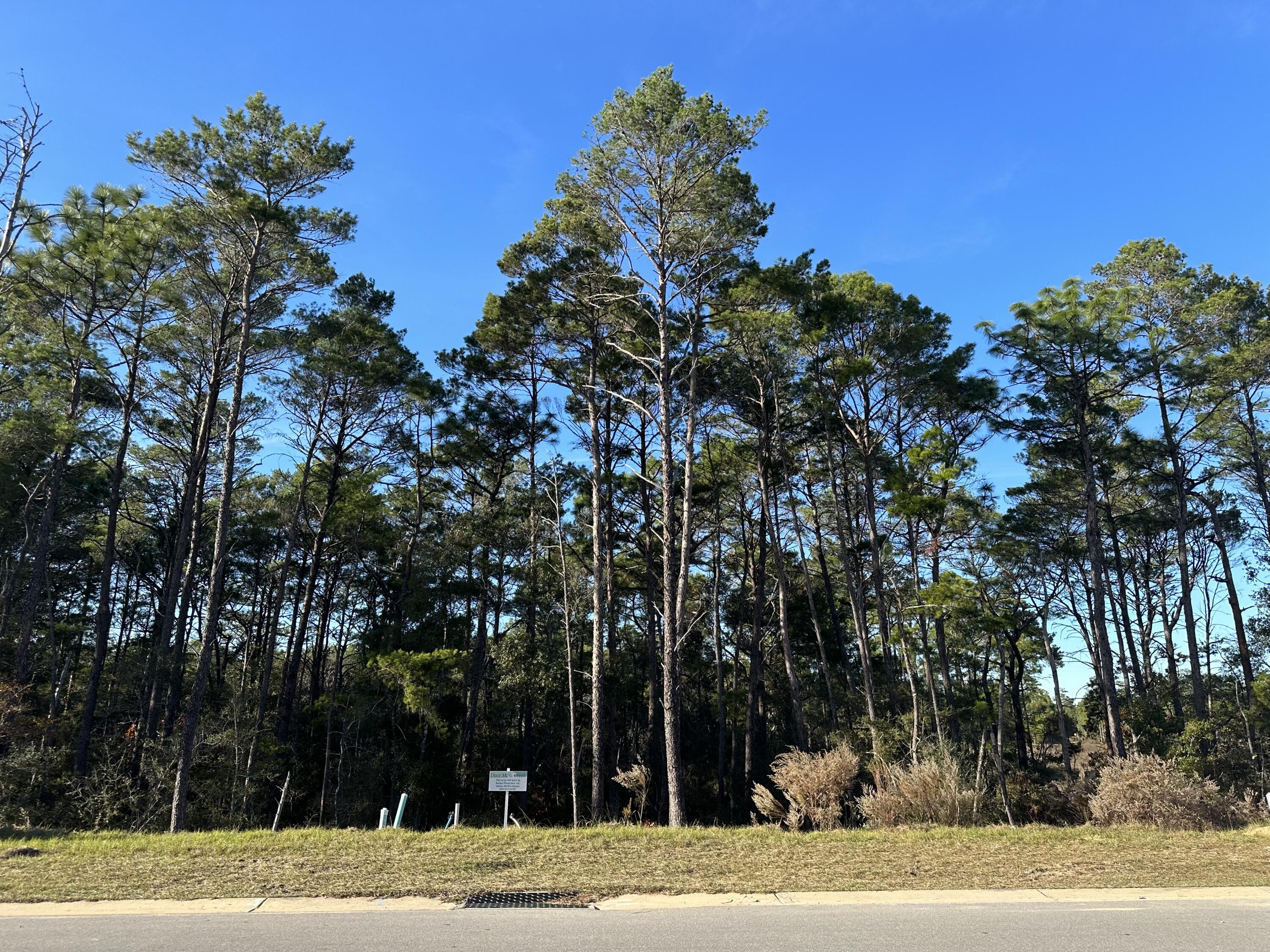 Rare opportunity to build your own custom, dream home on one of the last lots in PH 2 DEER MOSS CREEK, Niceville's largest, new community. This  1/4 of an acre lot is for sale w/no building to take place right  behind this home. Choose from one the neighborhood's pre-approved, custom builders. A club house, pool, children's park and half basketball ct is now under construction..  Natural trails  & sidewalks wind through the neighborhood.  DMC is a new, hometown community  in Niceville, Florida, north of Destin beaches via the Midbay Bridge. Niceville's schools are highly ranked in the state for academics & many sports.  Close by are freshwater creeks, brackish bayous, and the Gulf of Mexico, offering many outdoor activities in and out of the water. Aesthetic Design Code & Town Architect , ensure the streetscapes have a variety have a variety of the home plans, colors and textures.