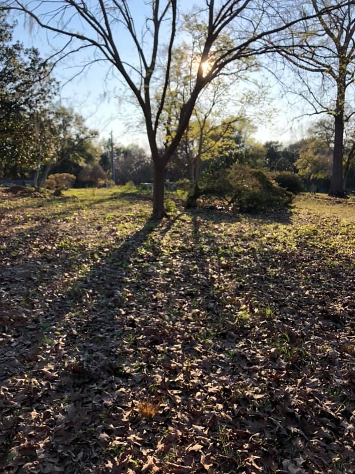 PIPERS LANDING - Land