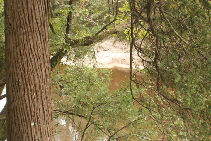 Beautiful Flowing River Front! White sandy beaches and bottom on the Shoal River with Highway 393 paved frontage !This is a recreational parcel for a RV, Site, Hunting Fishing and Bon Fires! Bring the Rope Swing and the Hammock for Sunday afternoon Relax time! Property has power poles at the road but is in the floodway so no building permits or septic tanks allowed. Fun in the sun time! Kayak, canoe or John boat time! The next door (Additional 11 acres is also available.)