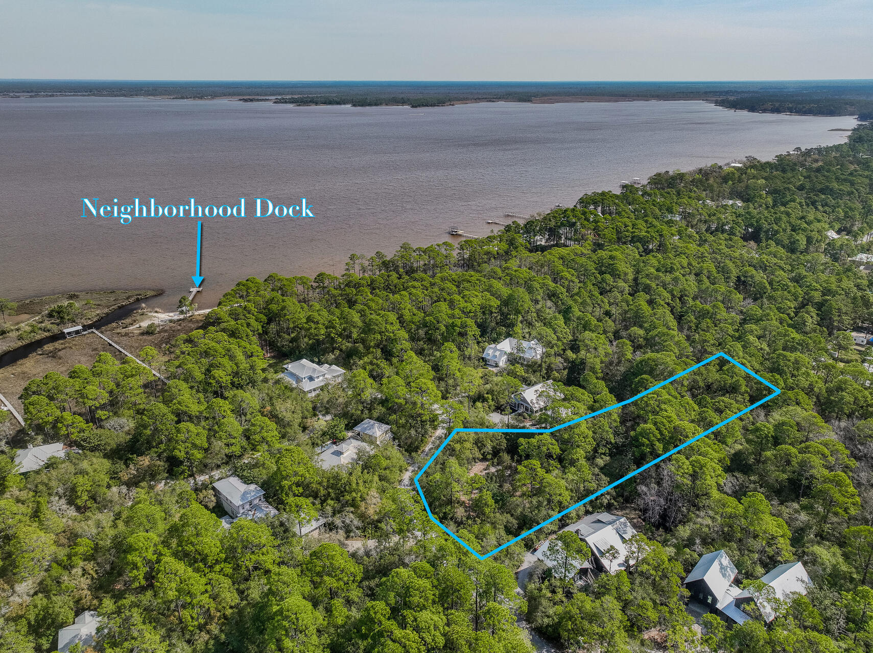 BAY MAGNOLIA - Land