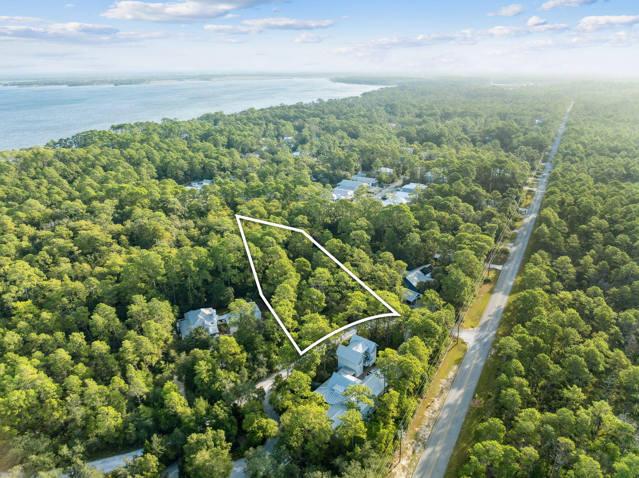 Bay Magnolia - Land