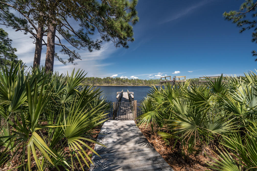 GRANDE POINTE AT INLET BEACH - Land