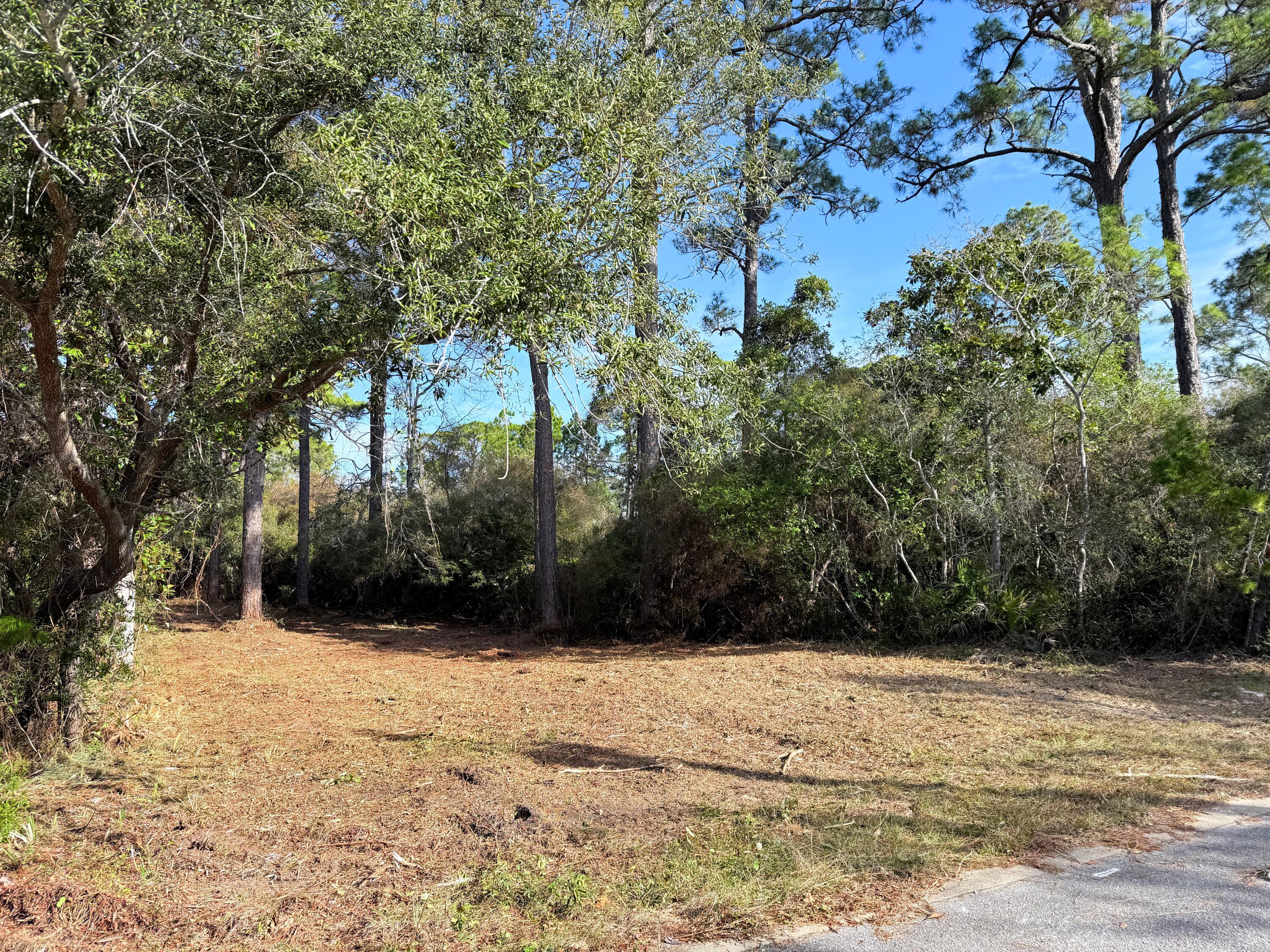 Build your dream coastal retreat on this prime vacant lot in the high-demand Point Washington area. Located just 3.5 miles from Grayton Beach, this property offers the perfect balance of seclusion and accessibility, buffered by scenic state forest.

Key Property Features:
Prime Location: Steps from a public boat ramp and a bay-front park with a kayak launch.

Ready to Build: Paved street access in a growing neighborhood of charming Florida Cottages.

Freedom: No HOA, no monthly dues, and no build-out time requirements.

Whether you're looking for a primary residence or a vacation retreat near 30A, this home-site is a rare find. Enjoy the best of Florida's Gulf Coast lifestyle without the heavy restrictions.