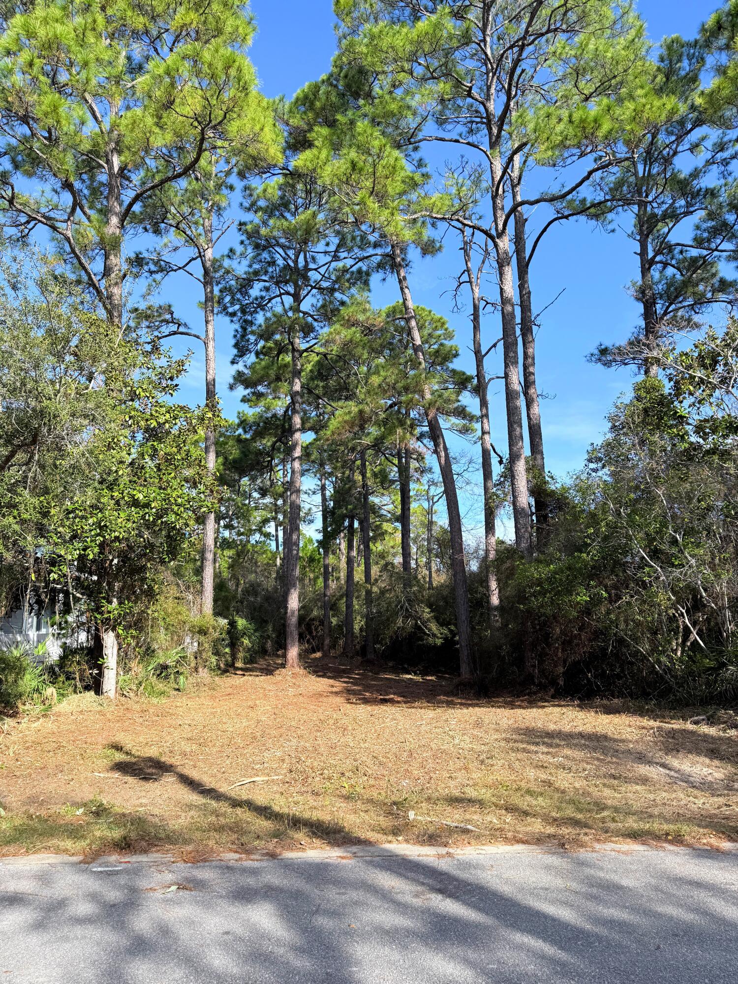 MAGNOLIA BEACH - Land