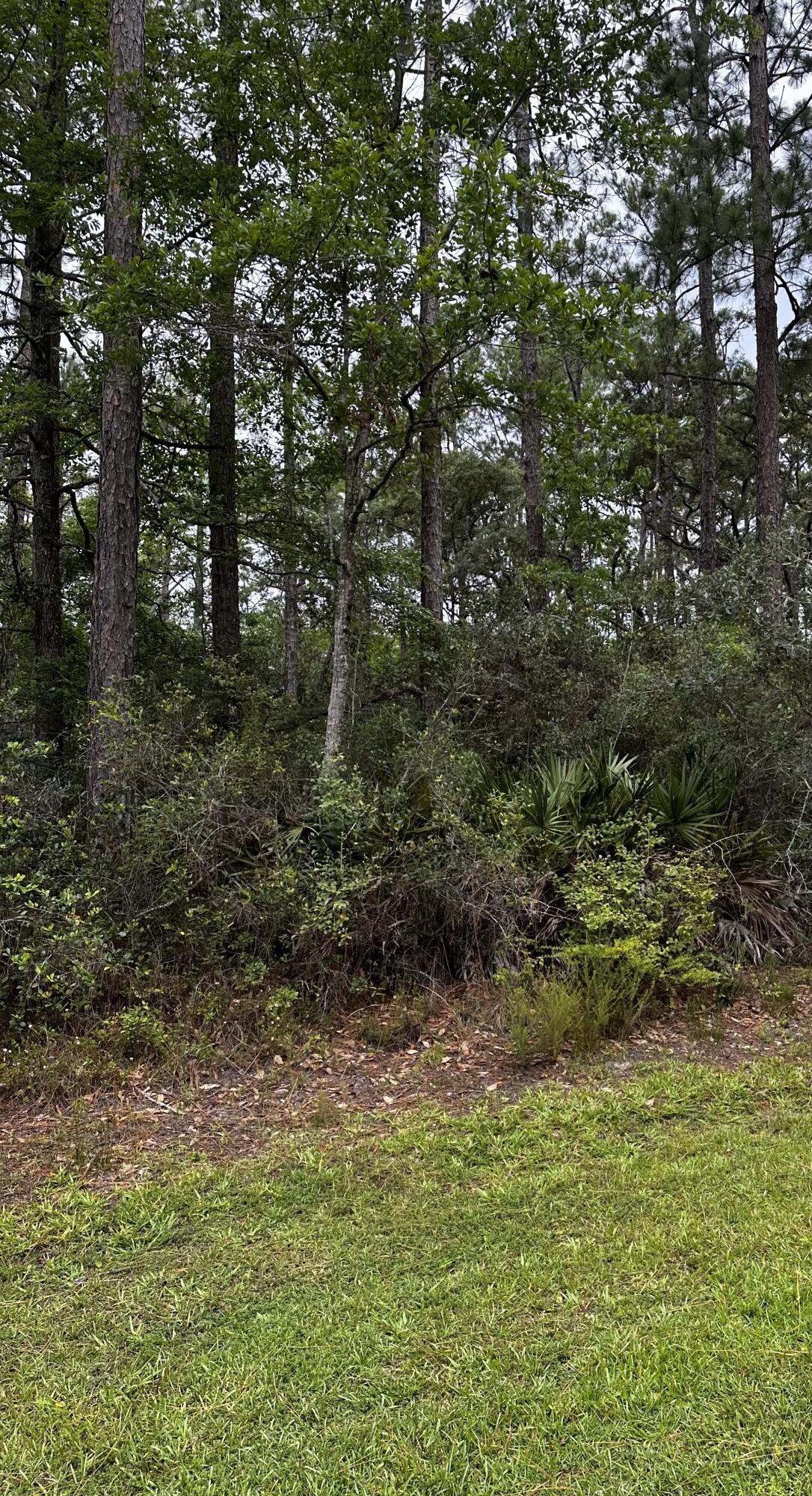 CROSS CREEK SHORES - Land