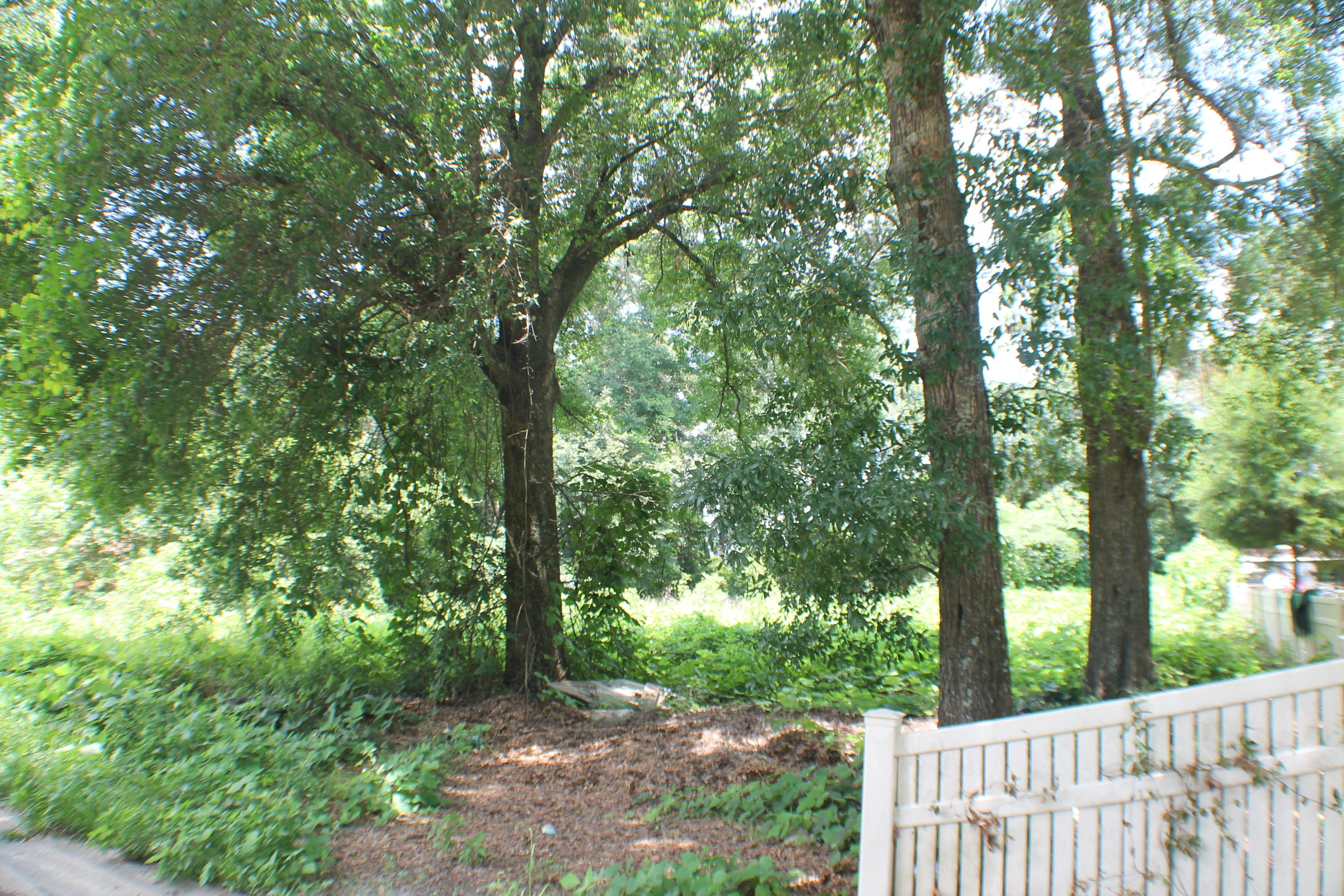 FERDON HEIGHTS - Land