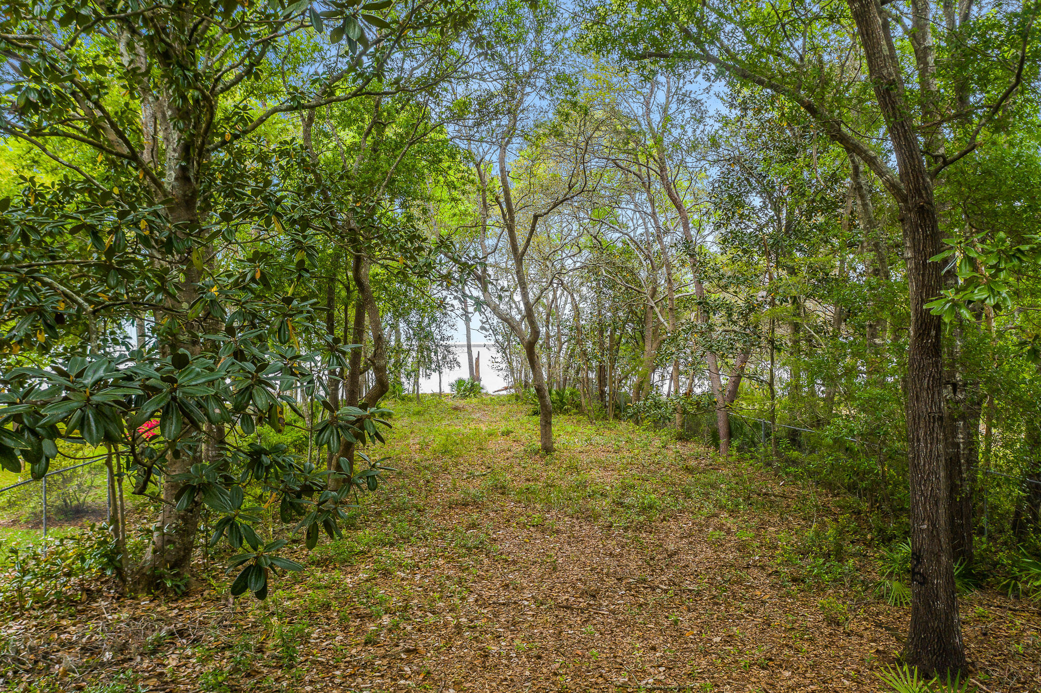 CHOCTAWHATCHEE BEACH - Land