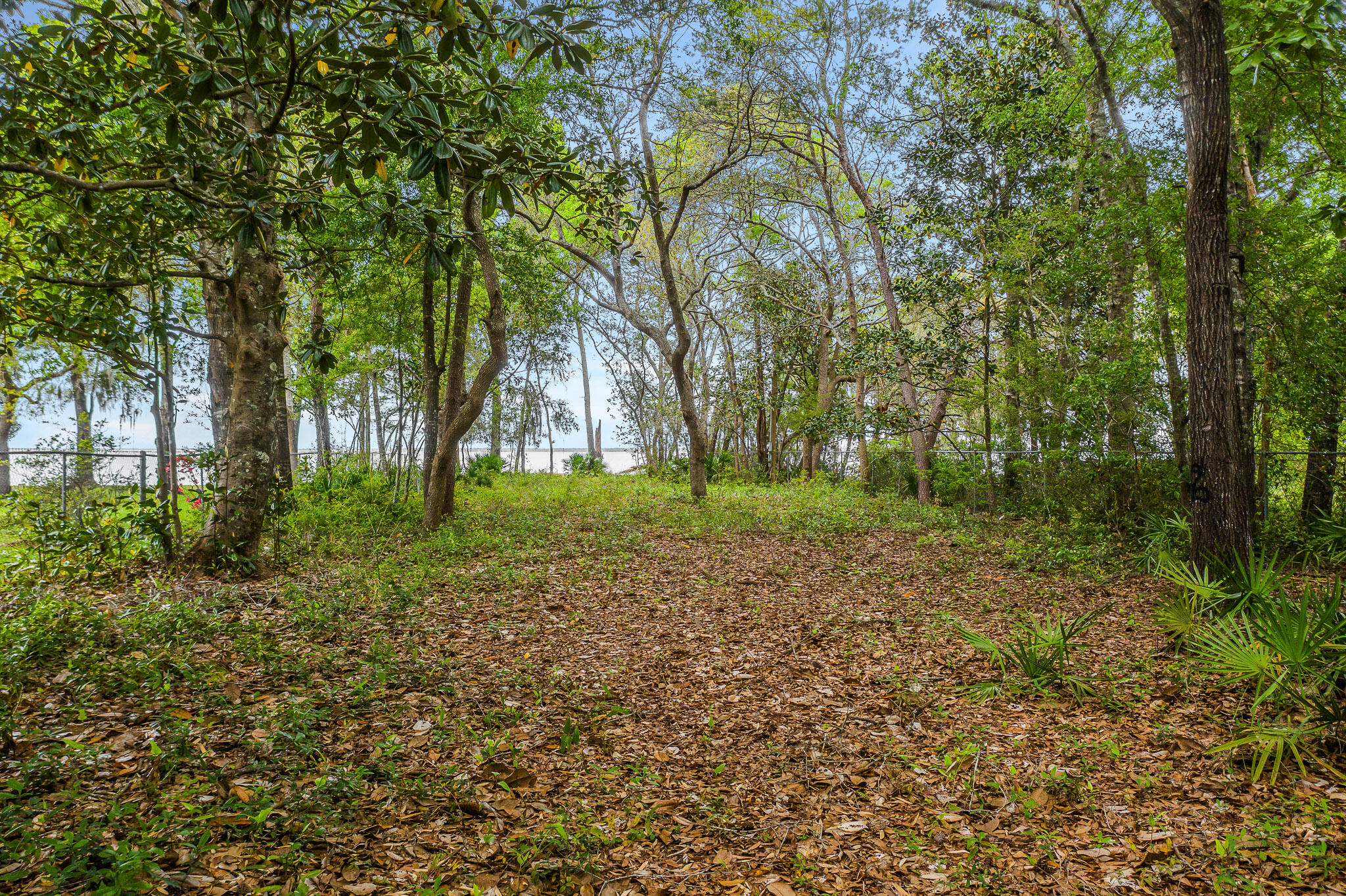 CHOCTAWHATCHEE BEACH - Land