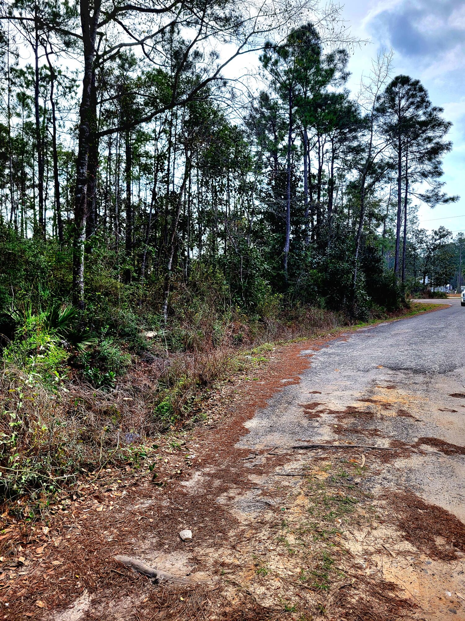 TOWN OF SANTA ROSA BEACH - Land