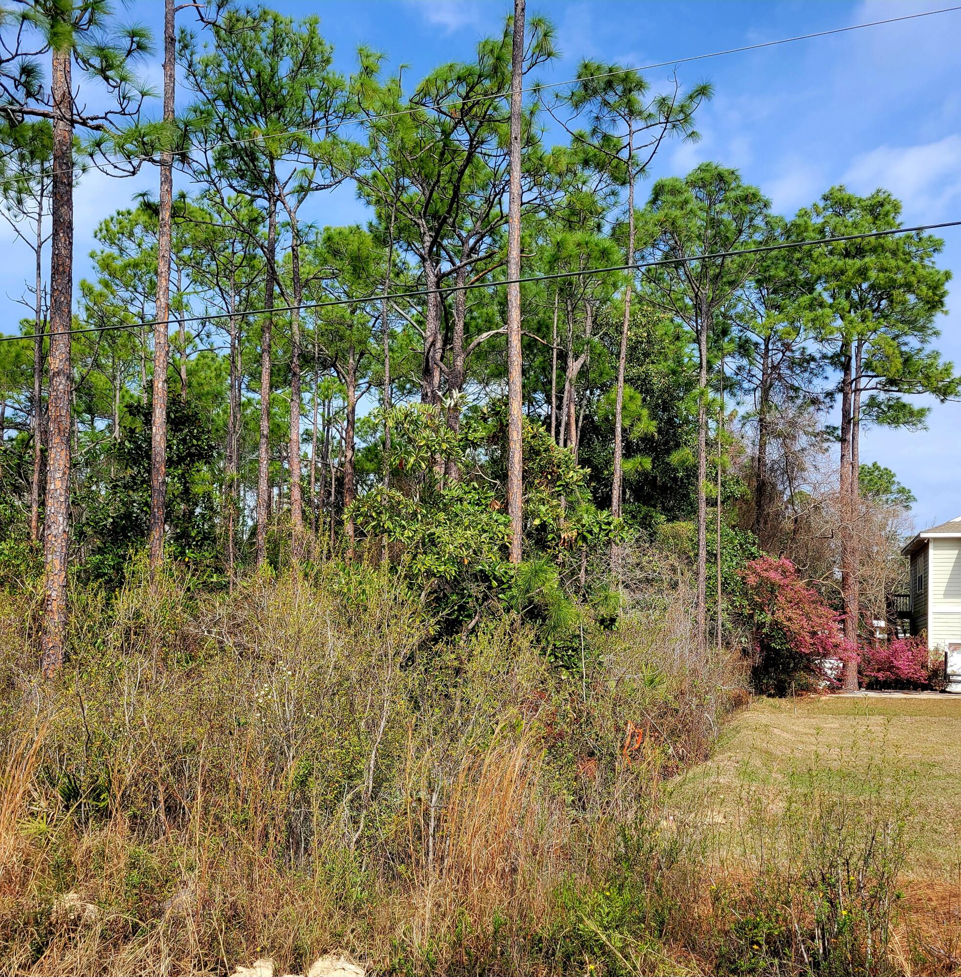 TOWN OF SANTA ROSA BEACH - Land