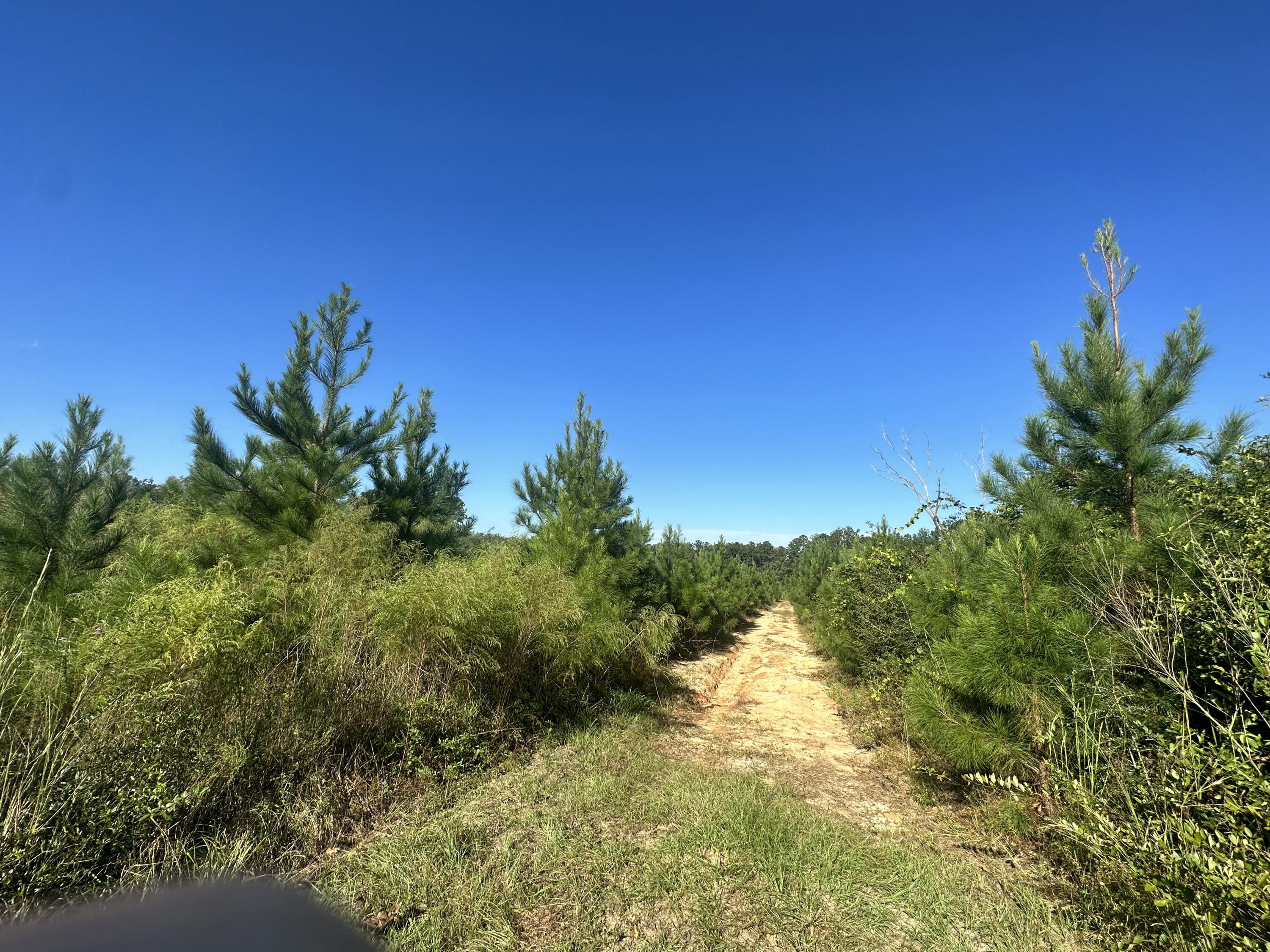 NO RECORDED SUBDIVISION - Land