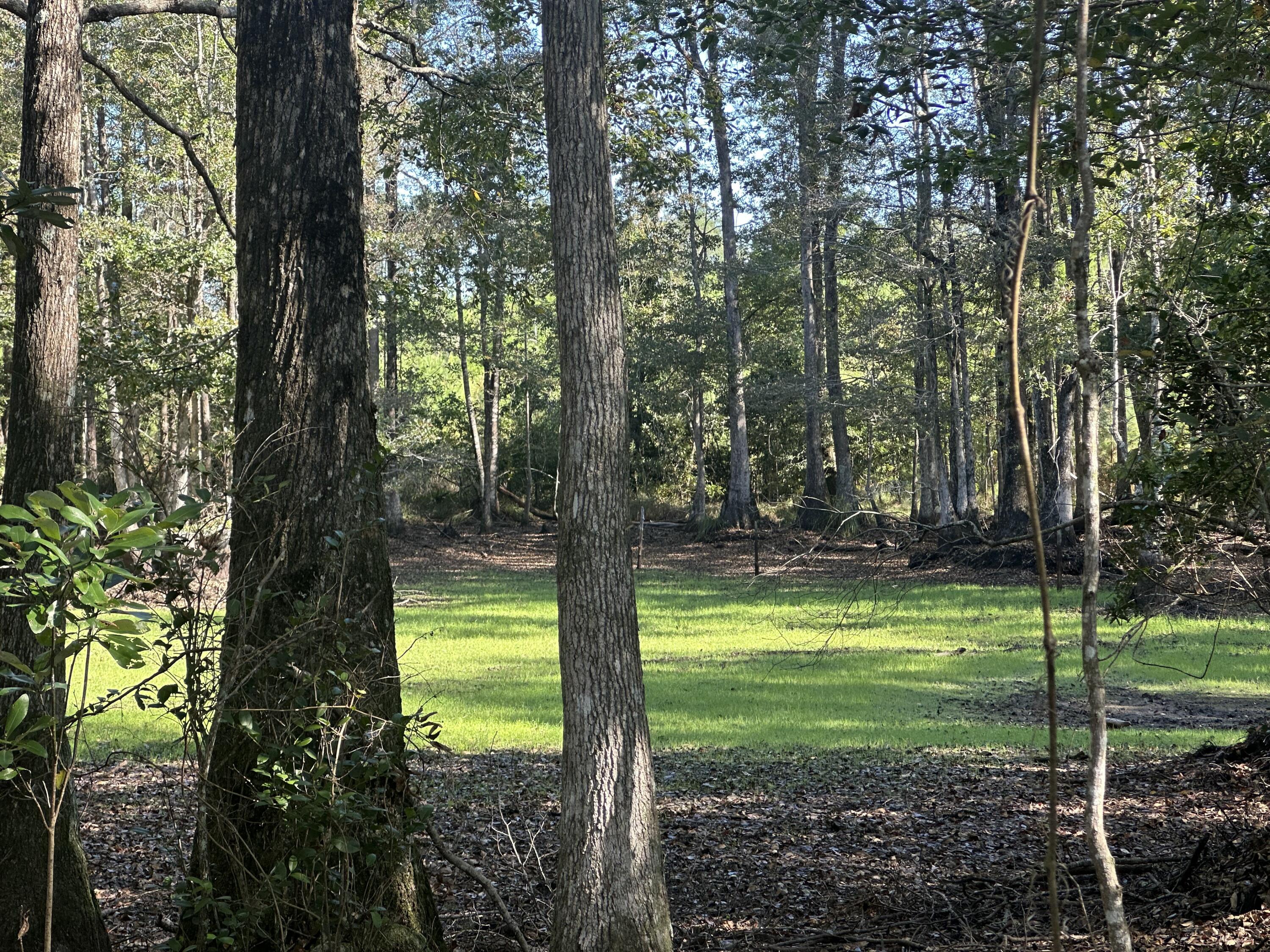 NO RECORDED SUBDIVISION - Land