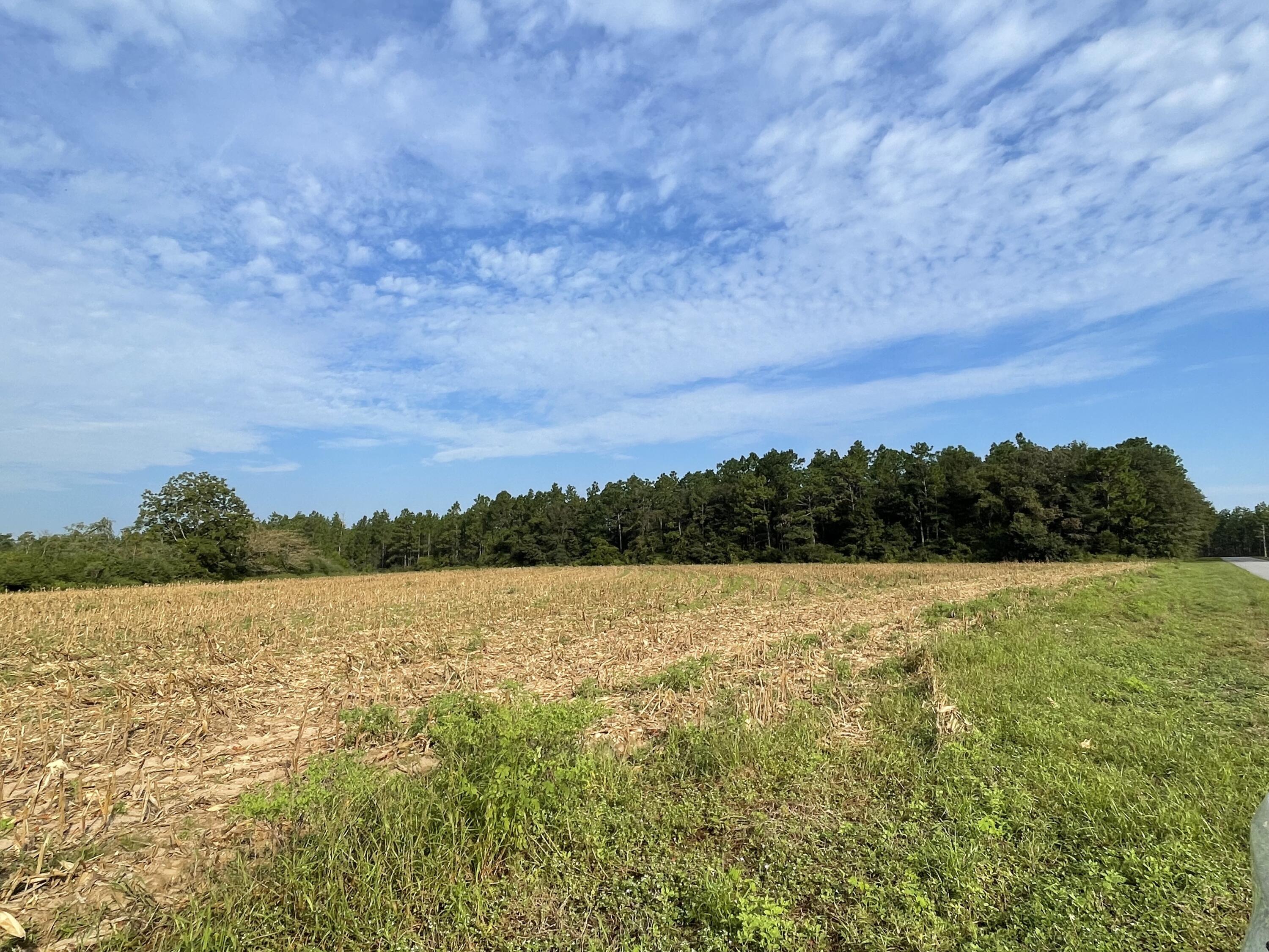 17+/- Ac of land here in Baker, Bring your Build plans and enjoy the peaceful country living. Grab your fishing poles and camping gear because this is Adjoins Blackwater River State Forest!
  Acreage to b determined by survey offers to be per-acre price.