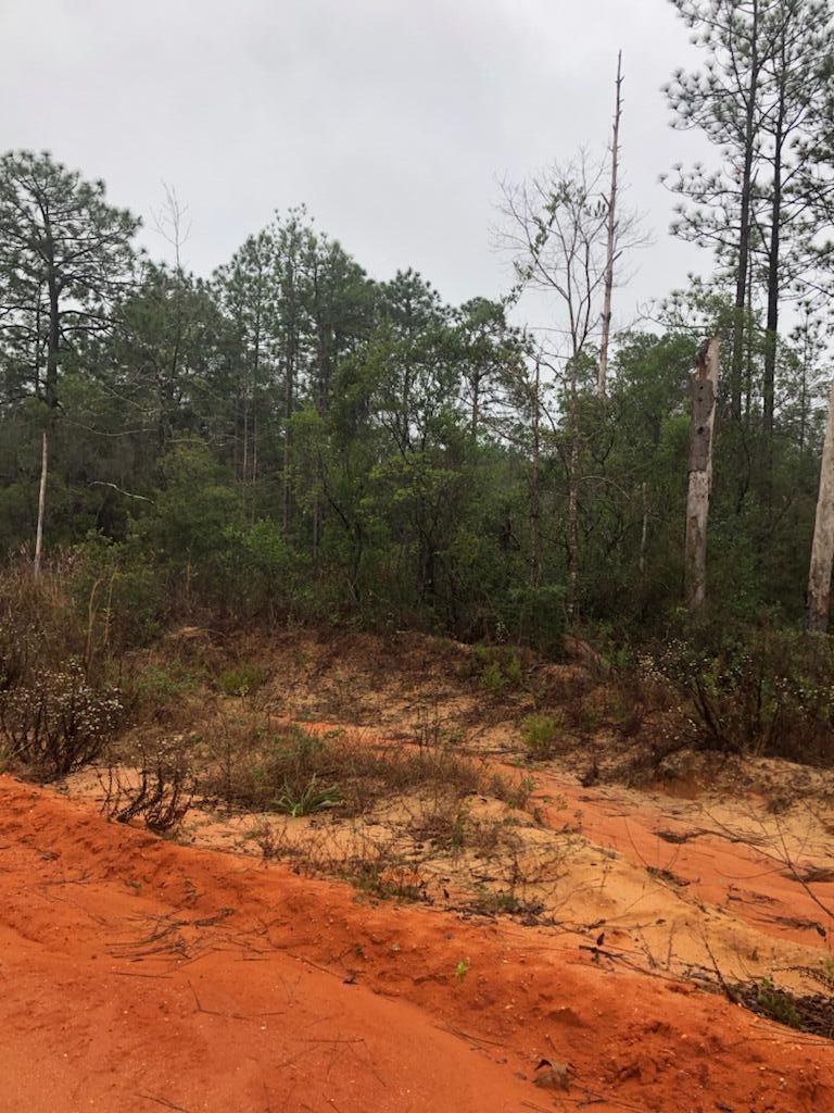 Oakwood Hills Unit 1 - Land