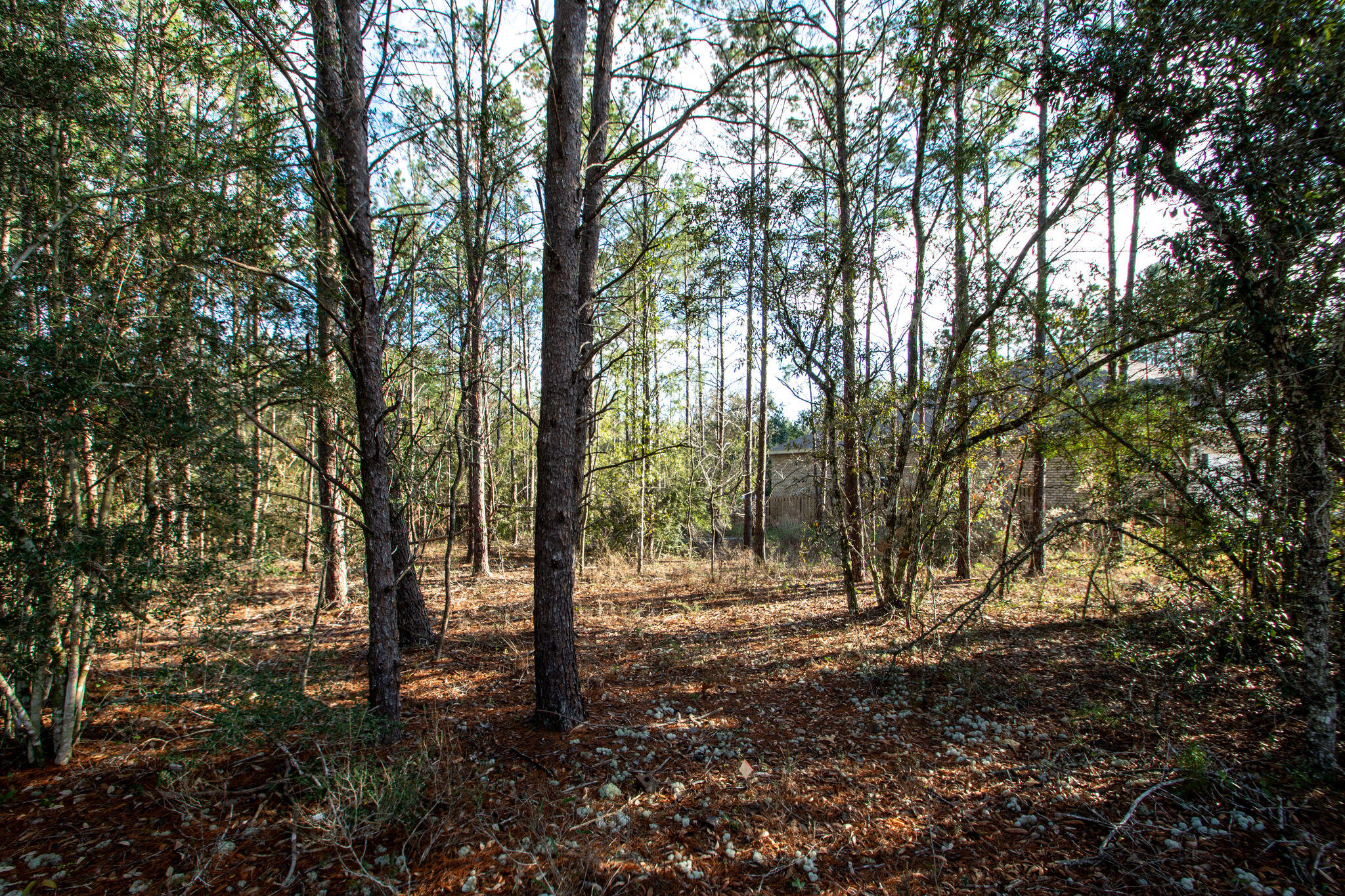 HAMMOCK BAY - Land