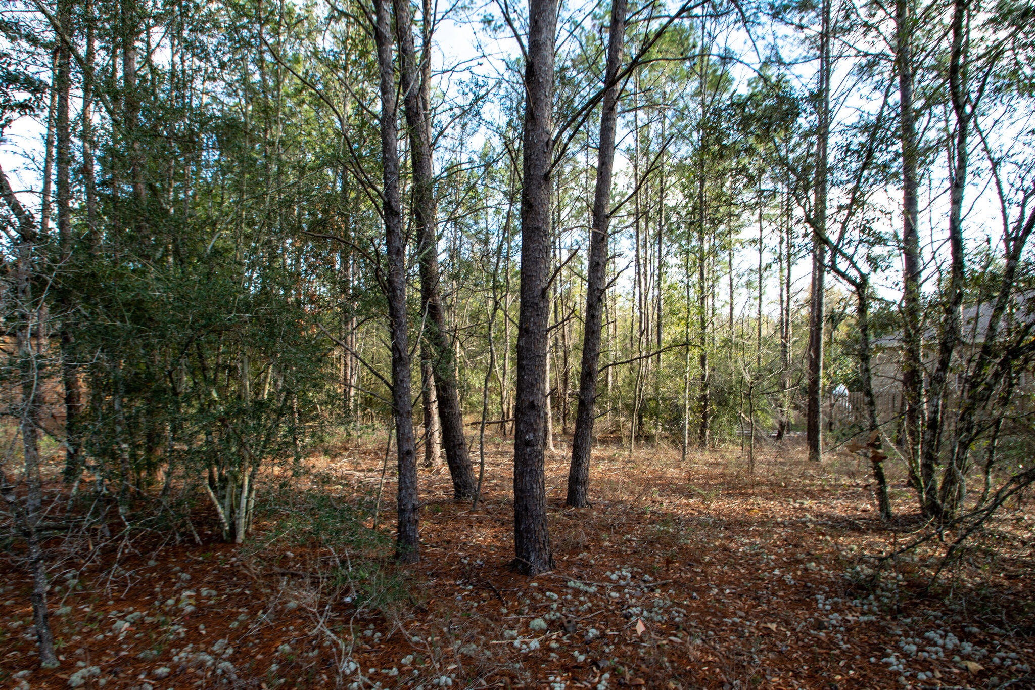 HAMMOCK BAY - Land