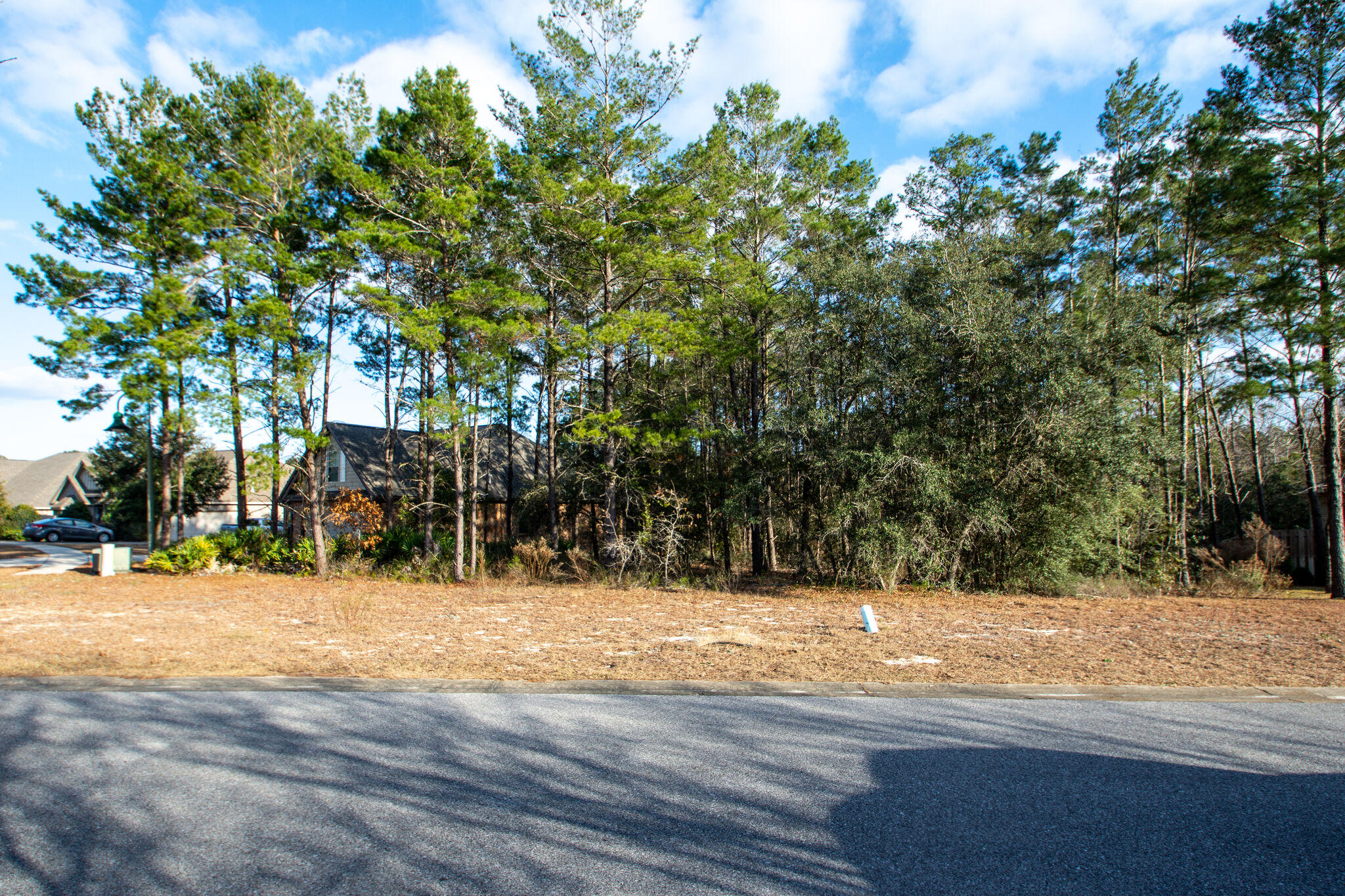 HAMMOCK BAY - Land