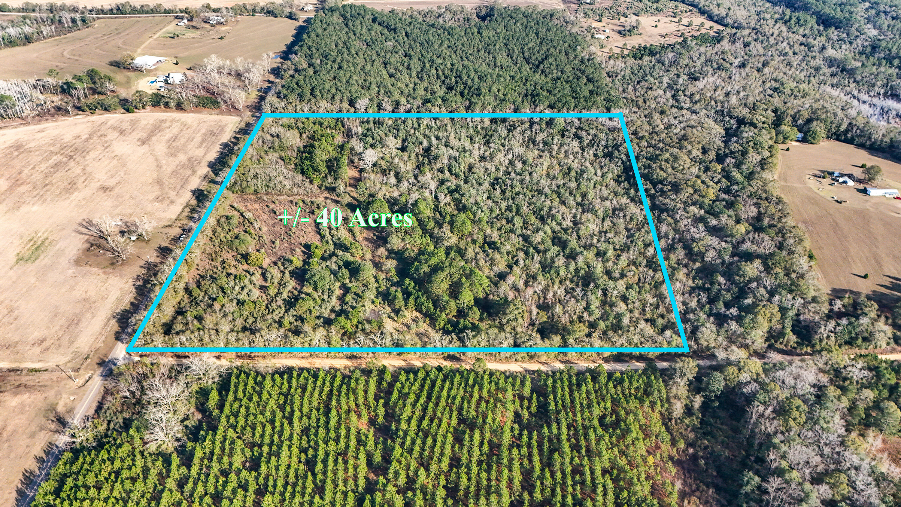 Located just North of Florala this 40-acre tract of land is just what you are looking for! Previously used as a multi-family farm this property includes a deep well and 2 septic tanks and also includes 2 homes given no value. The property faces on 2 roads and is a corner 40-acre tract making access to your property easy on 2 sides. Property previously had 12 cleared acres in front with reminder wooded. Property offers you the opportunity to have multiple great home sites, a pasture area with a little work, garden area and remainder wooded area in back for hunting and privacy. Paved road frontage with a drive already into property also gives the bonus of already having work in place for you! Smyrna Road is a great location - looking for peace and quiet and a large tract of land this is it!