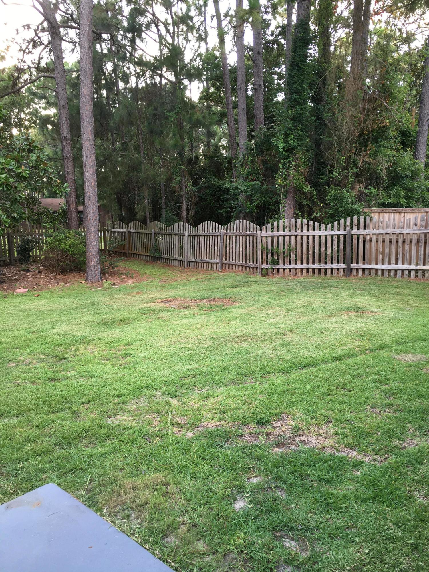 ST. ANDREWS - Residential Lease