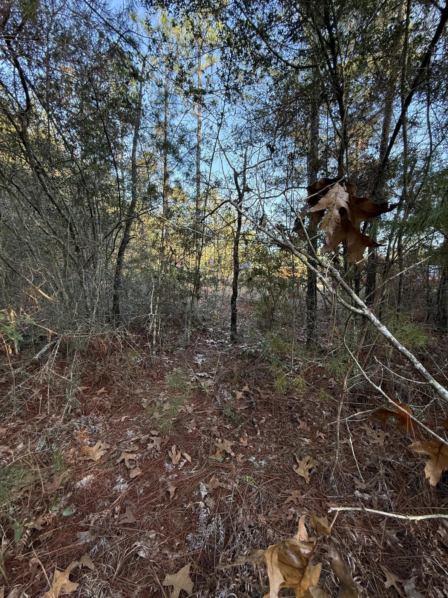 OAKWOOD HILLS UNIT 3 - Land