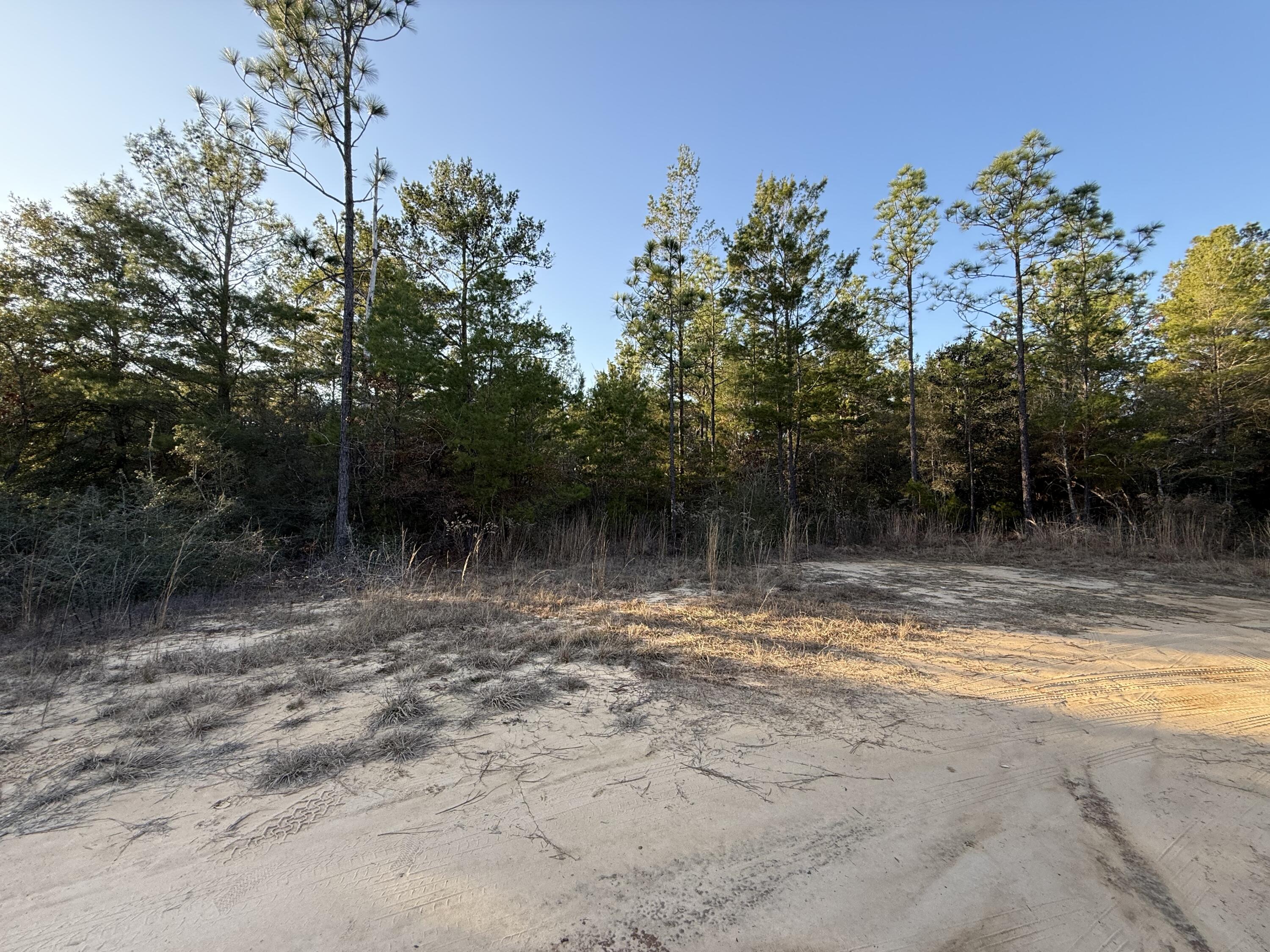 Located in the peaceful natural setting of Oakwood Hills 3 within the growing Mossy Head area of DeFuniak Springs, this versatile 0.39-acre homesite offers flexibility and future potential in Northwest Florida. 

Beautifully wooded and surrounded by ongoing residential development, the property is situated in an area experiencing steady growth with new construction by multiple builders.

Zoned Rural Residential / Low Density, the parcel allows for single-family homes, manufactured or mobile homes, and modular construction—giving you the freedom to build or place a home that fits your needs. Located in Flood Zone X per county records, providing added peace of mind.

City water available at the road, tap fee due. Requires Septic tank.
 Conveniently positioned just 1.4 miles from US-90 with quick access to I-10, the location makes commuting easy in any direction with many major employers within approximately a 30-45 minute drive. You're also about 35 miles from the turquoise waters and sugar-white sands of Florida's Emerald Coast, including the beaches of Scenic Highway 30A and the world-famous Crab Island.

Buyer to verify building codes, zoning regulations, wetlands, utilities, and flood information to their satisfaction.