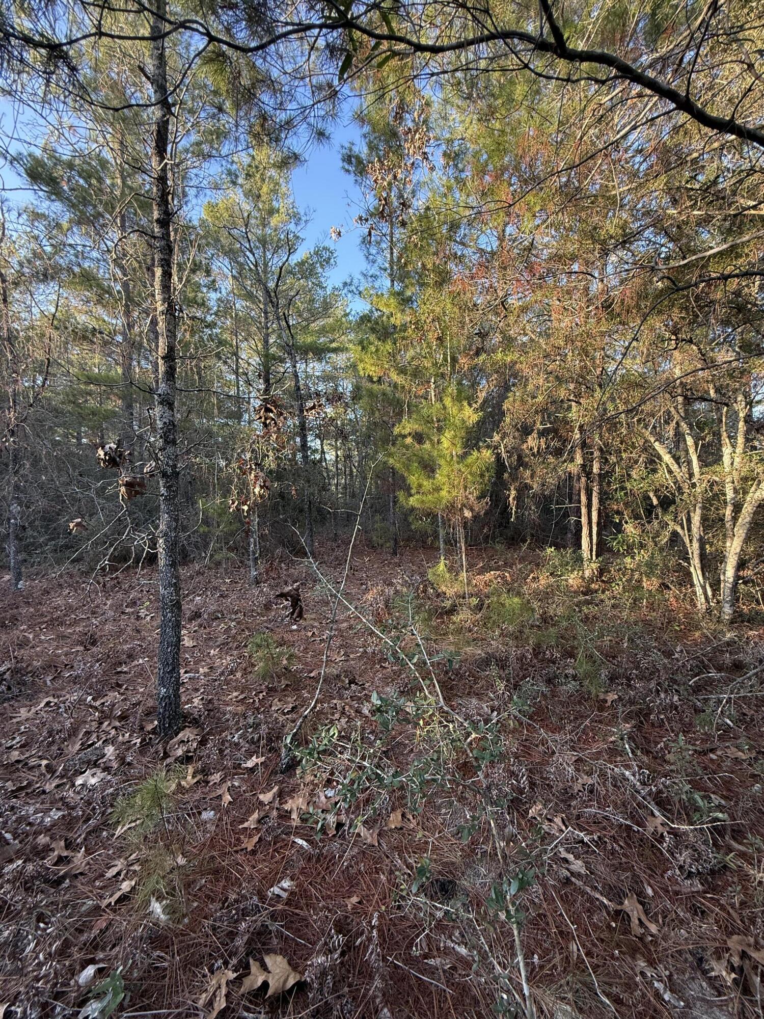 OAKWOOD HILLS UNIT 3 - Land