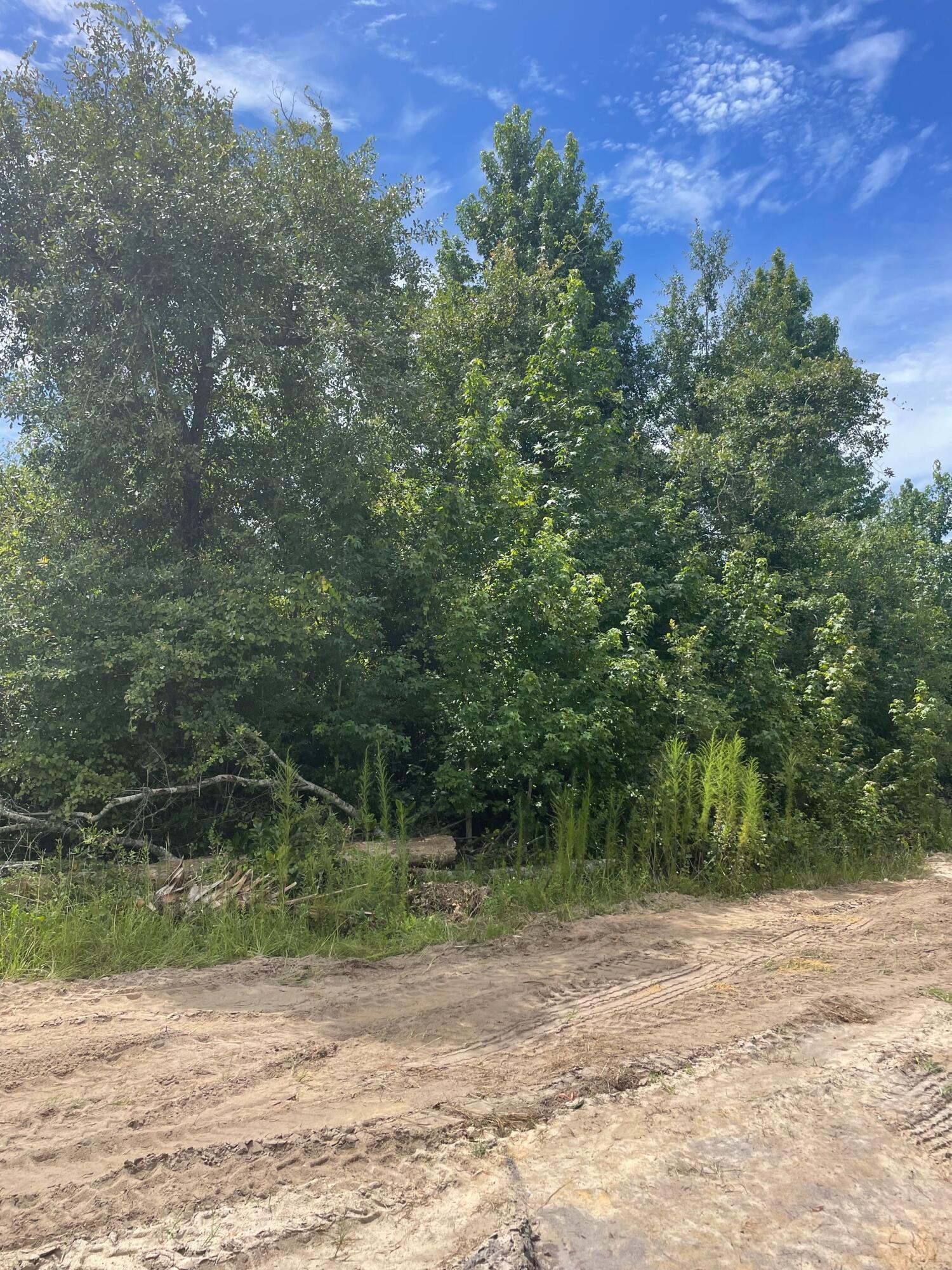 NO RECORDED SUBDIVISION - Land