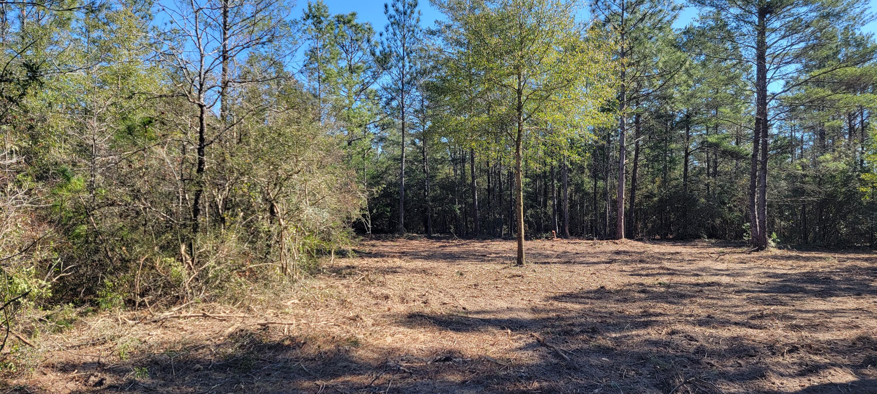 ORANGE CREST - Land
