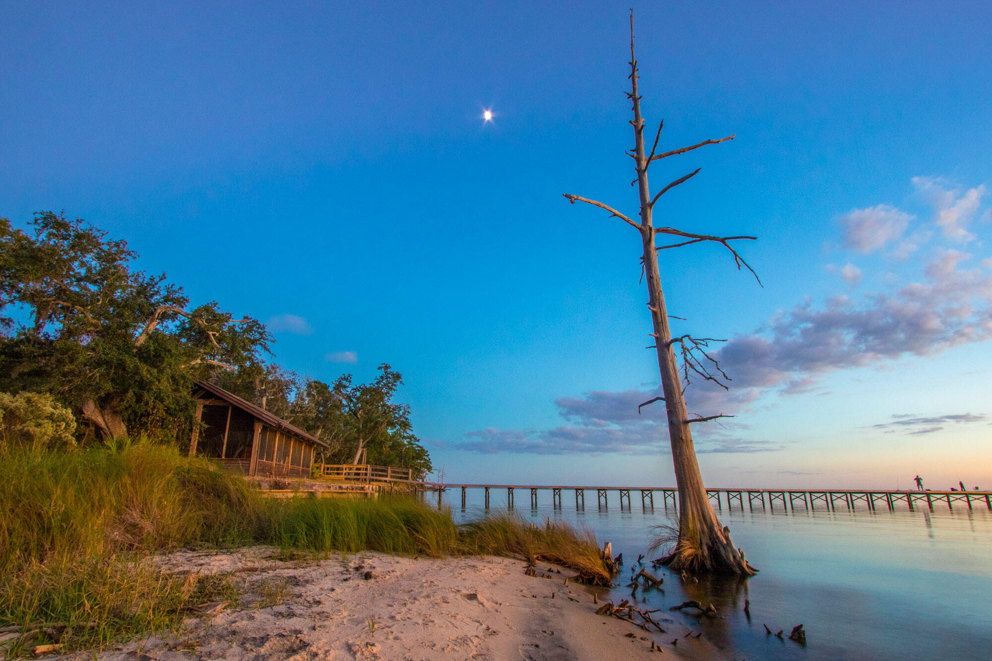 Hammock Bay - Residential Lease