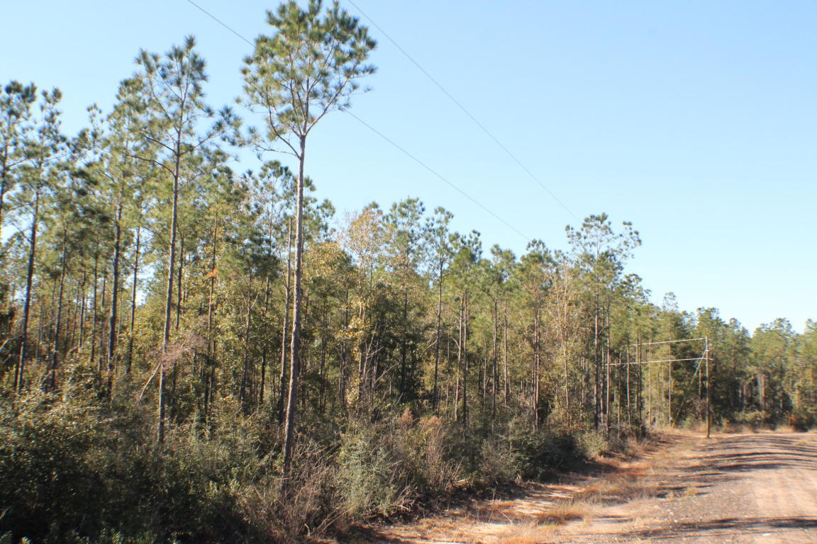 MILLERS BLUFF - Land