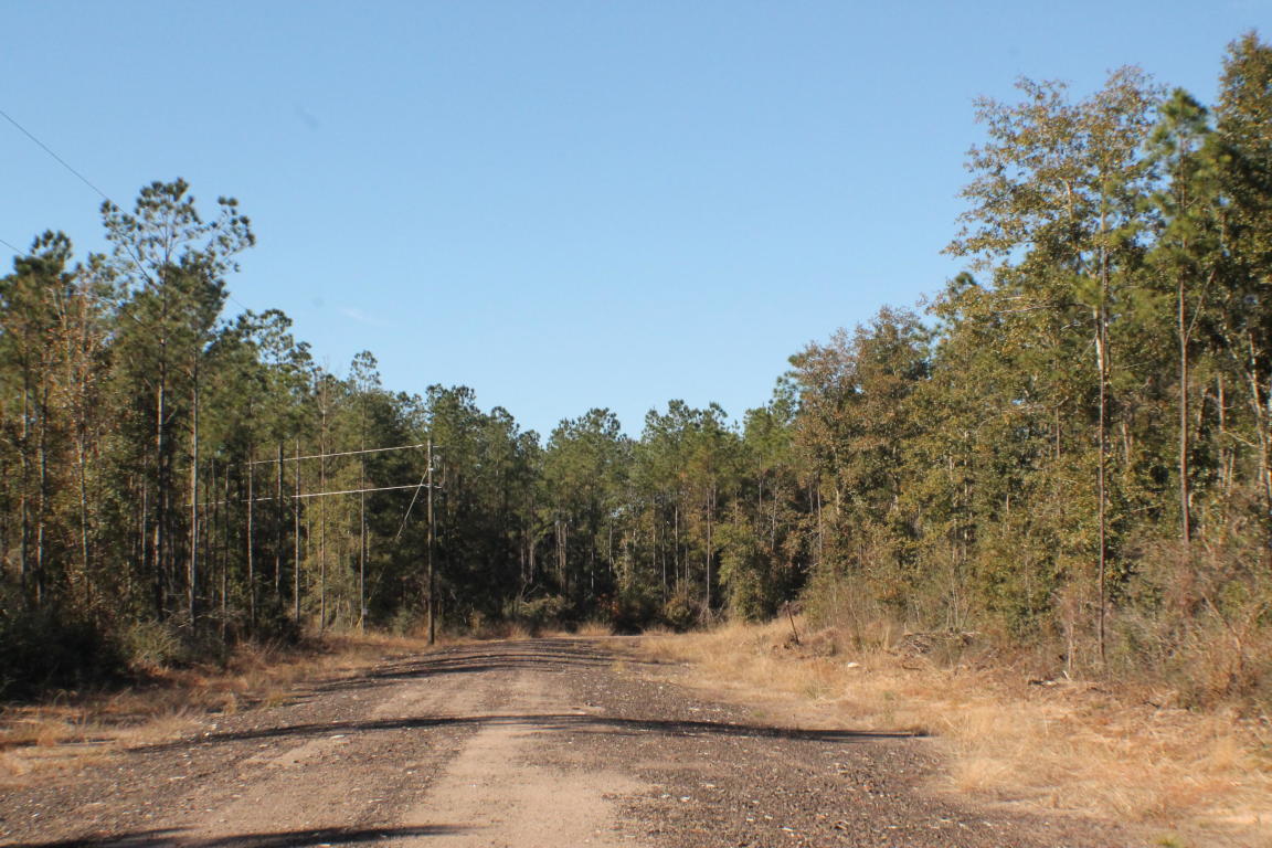 MILLERS BLUFF - Land