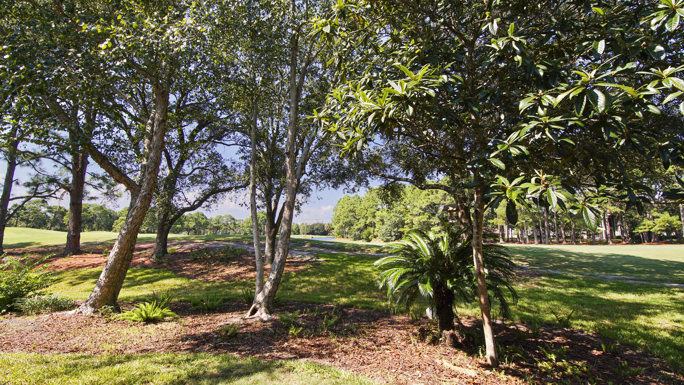 ST ANDREWS DRIVE AT SANDESTIN - Residential
