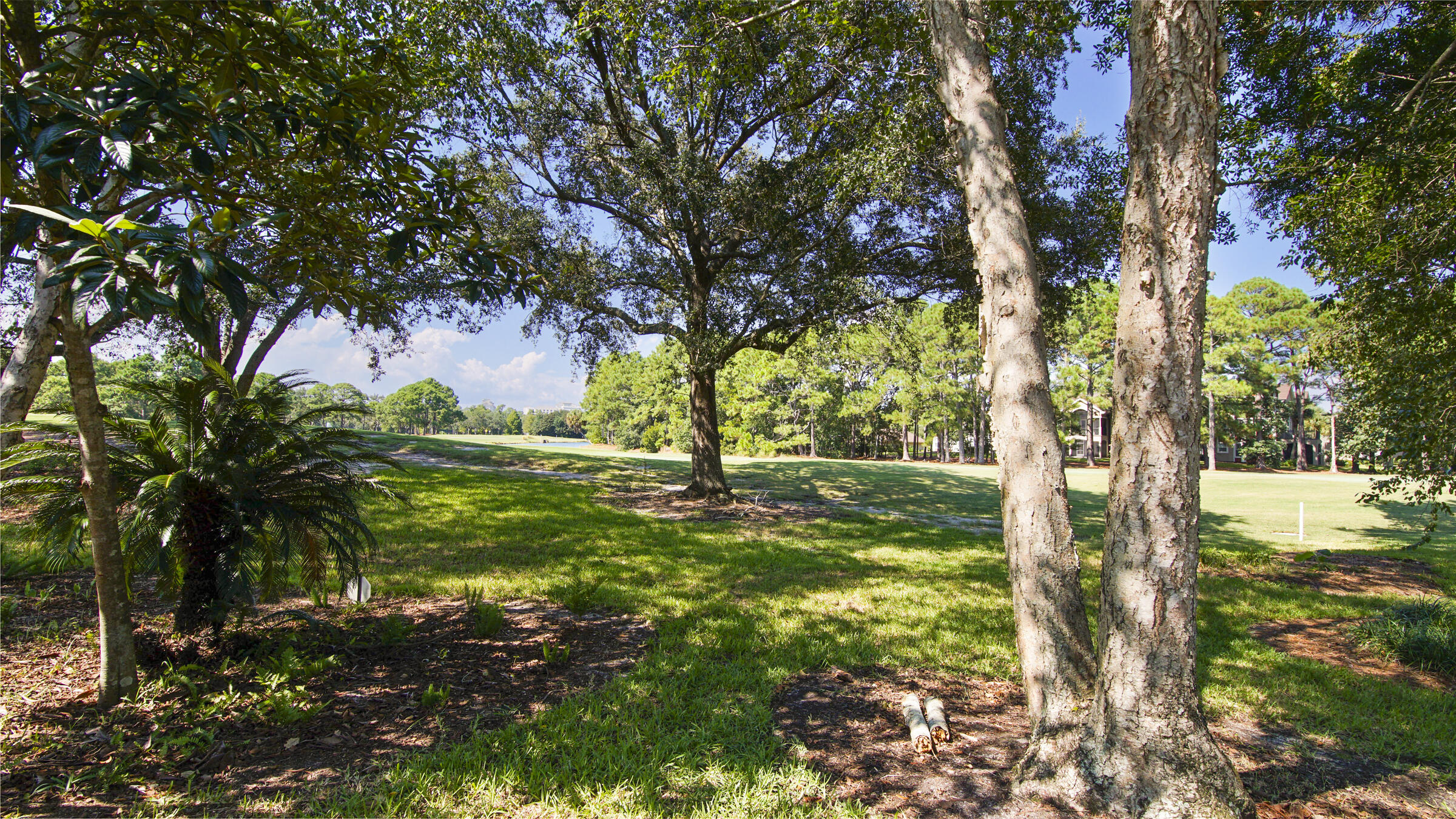 ST ANDREWS DRIVE AT SANDESTIN - Residential