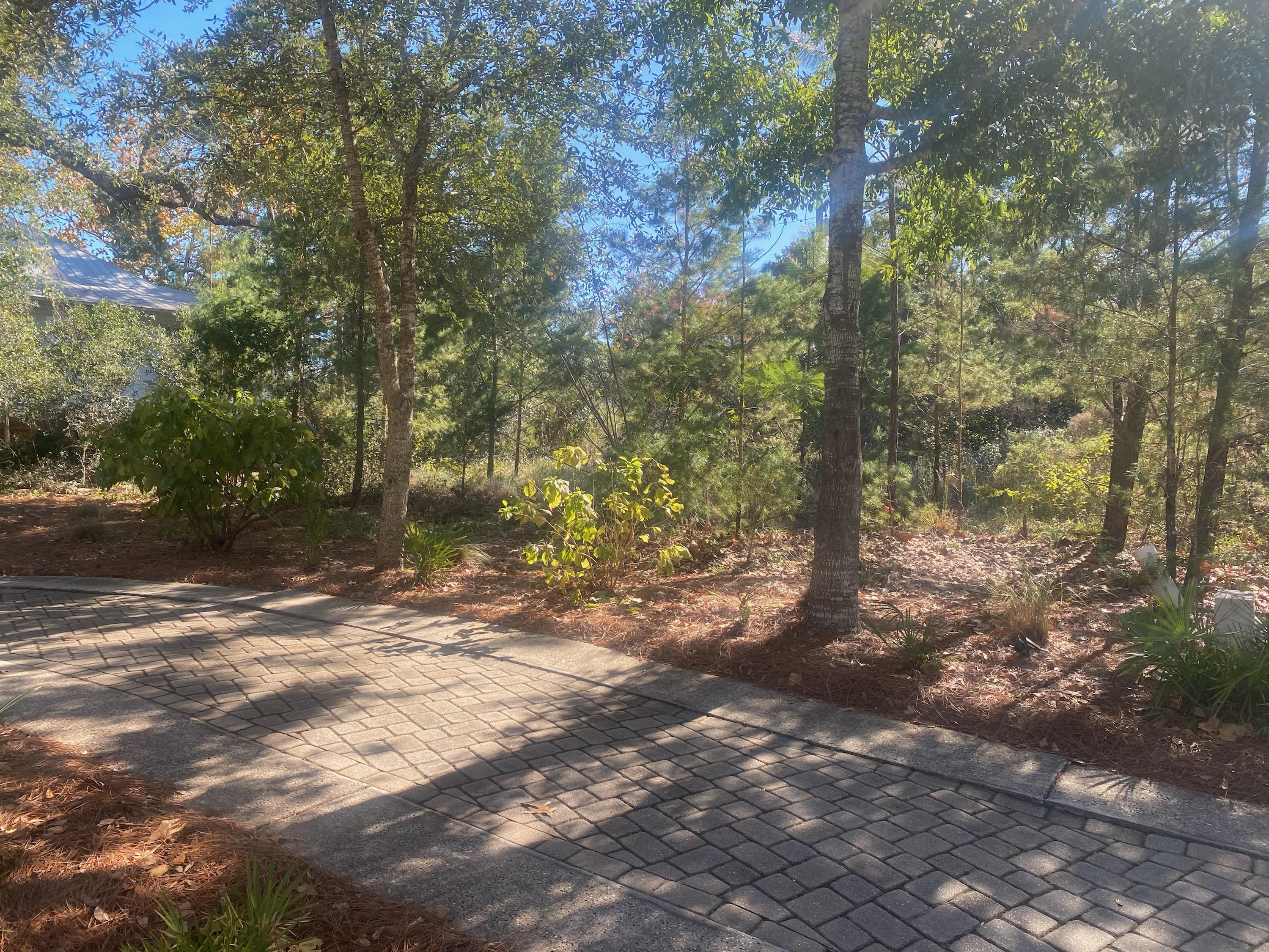 FOREST LAKES - Land