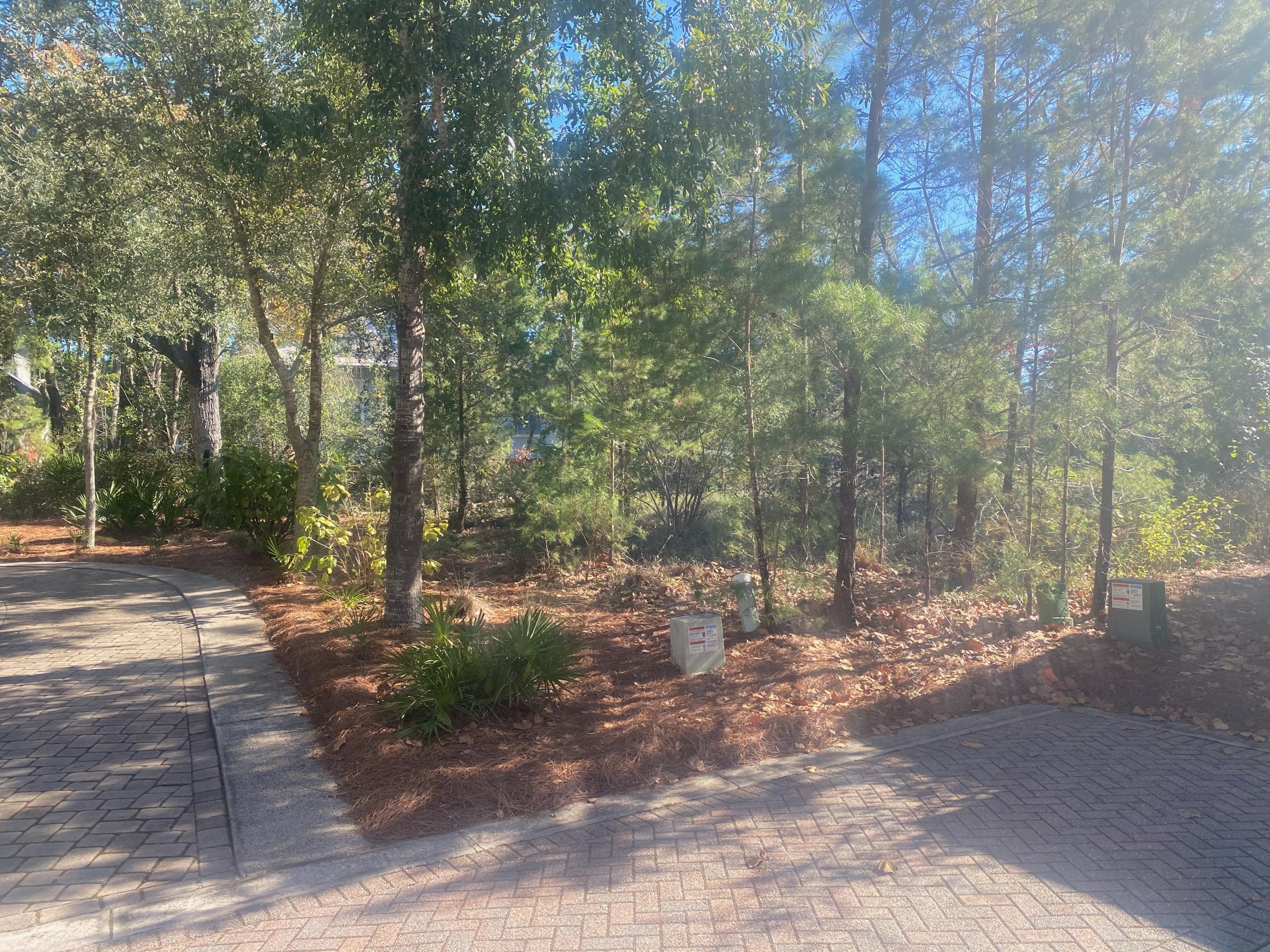 FOREST LAKES - Land