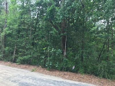 Wooded lot in Mossy Head off Watson Road..  Property is land locked.
