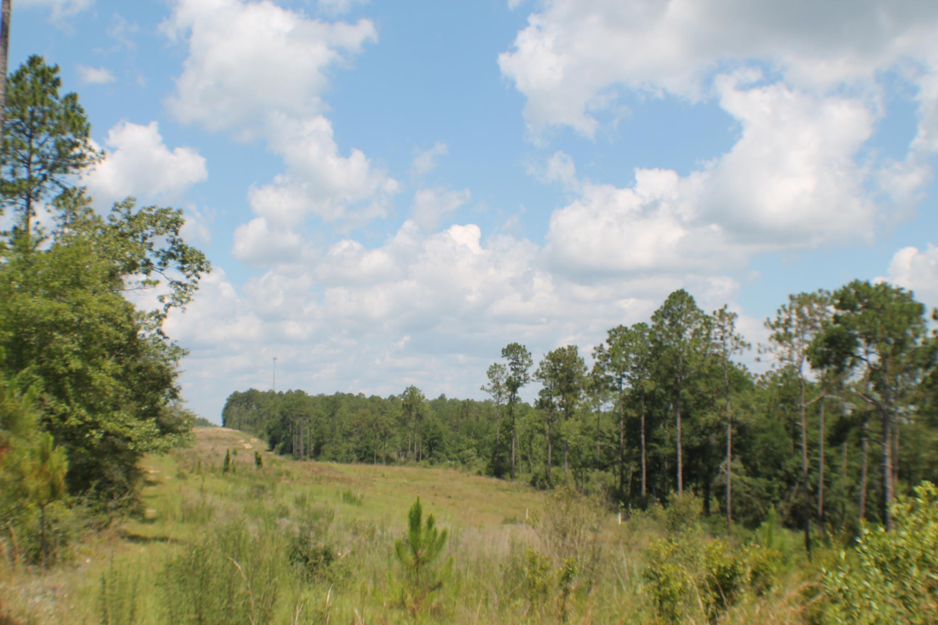 North Crestview development tract next to Yellow River Plantation. Paved road frontage. Planted Pines, under ground power near by. Rolling hills, beautiful sunsets over the Yellow River Valley. This is out of the river flood zone! Deer and Turkey Galore! Bring your horses and four-wheeler fun! Development wow! Priced to move fast!