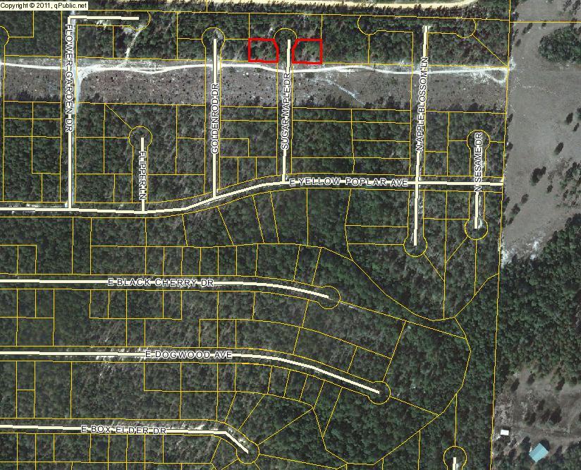 Lot is not clearly marked. Dirt road to property. There are 2 lots under the parcel ID and each lot is sold individually for $2500 each. Can buy both lots for $5000