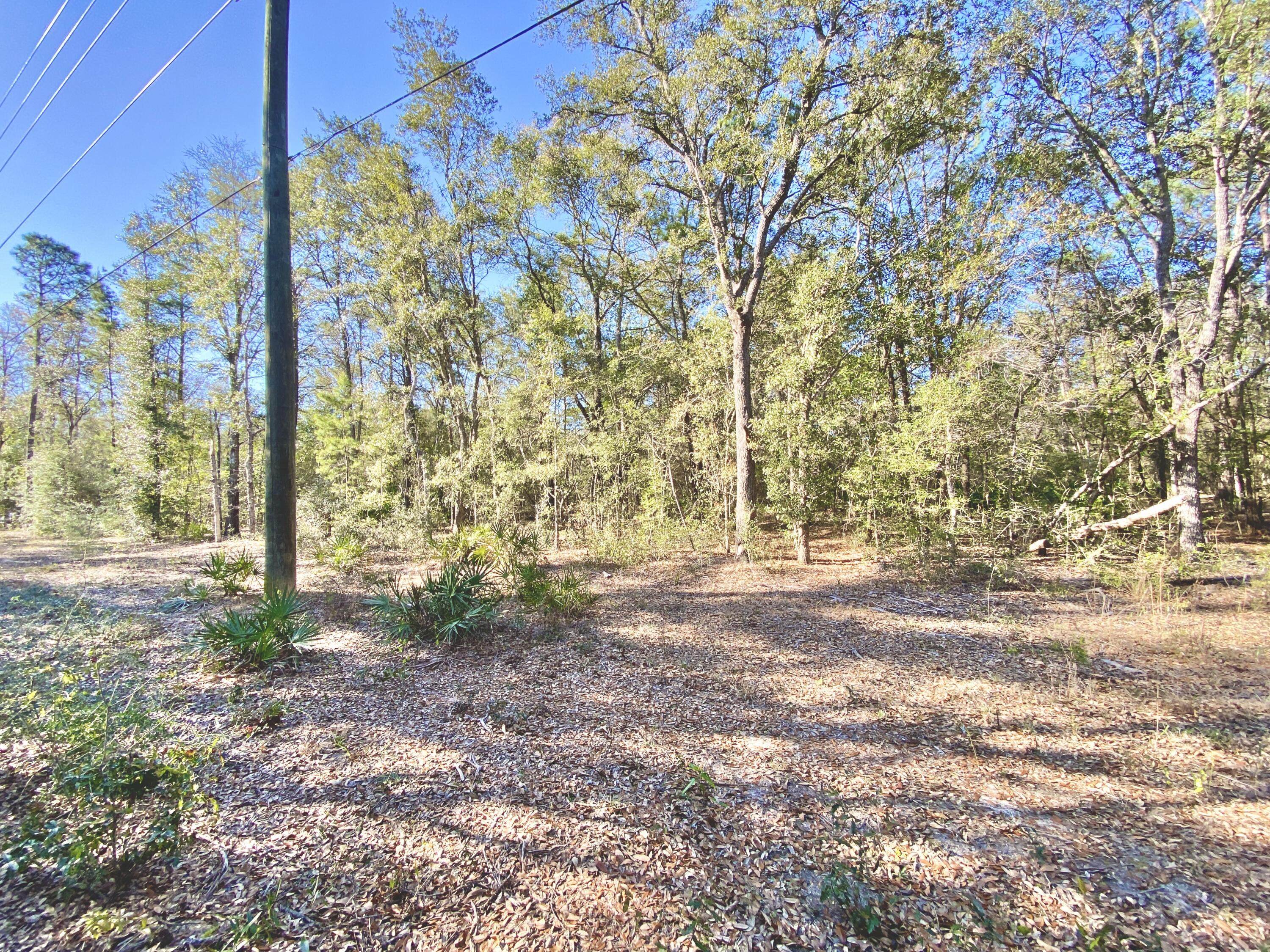 OAKWOOD HILLS - Land