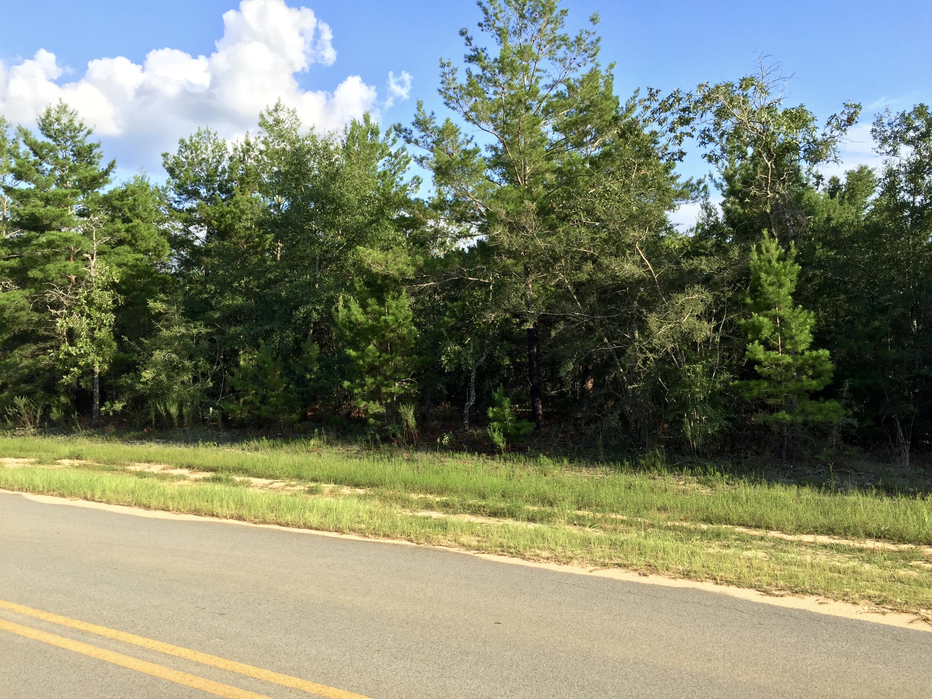 'Owner Financing Available'
Great Price for this Corner wooded lot on paved road,almost one half acre. Lot is level, high and dry and would make a great place to build a home. Area has power and water. Mobile homes welcome. All information in this listing, including but not limited to property dimensions & parcel size and number of acres is approximate and not exact. Buyer to verify zoning and building restrictions that may apply to subject property at buyers expense.
