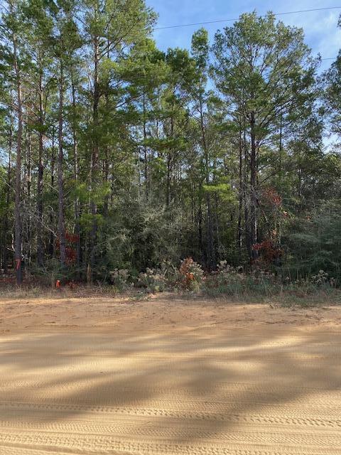10 ACRES - Looking for room to build your dream home and have plenty of room to spread out. Beautiful, wooded parcel within minutes to 1-10, Defuniak Springs or Crestiview.  Buyer to verify all areas of importance! There is a HOA for road maintenance only.