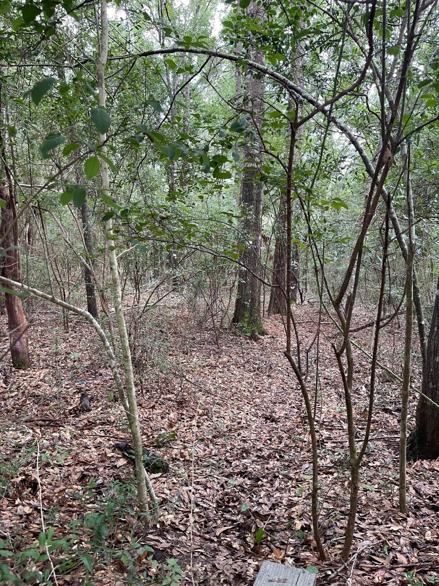 1ST ADD KENNEDY LAKES #2 LOT 7 EXC S50 FT BLK E - Land