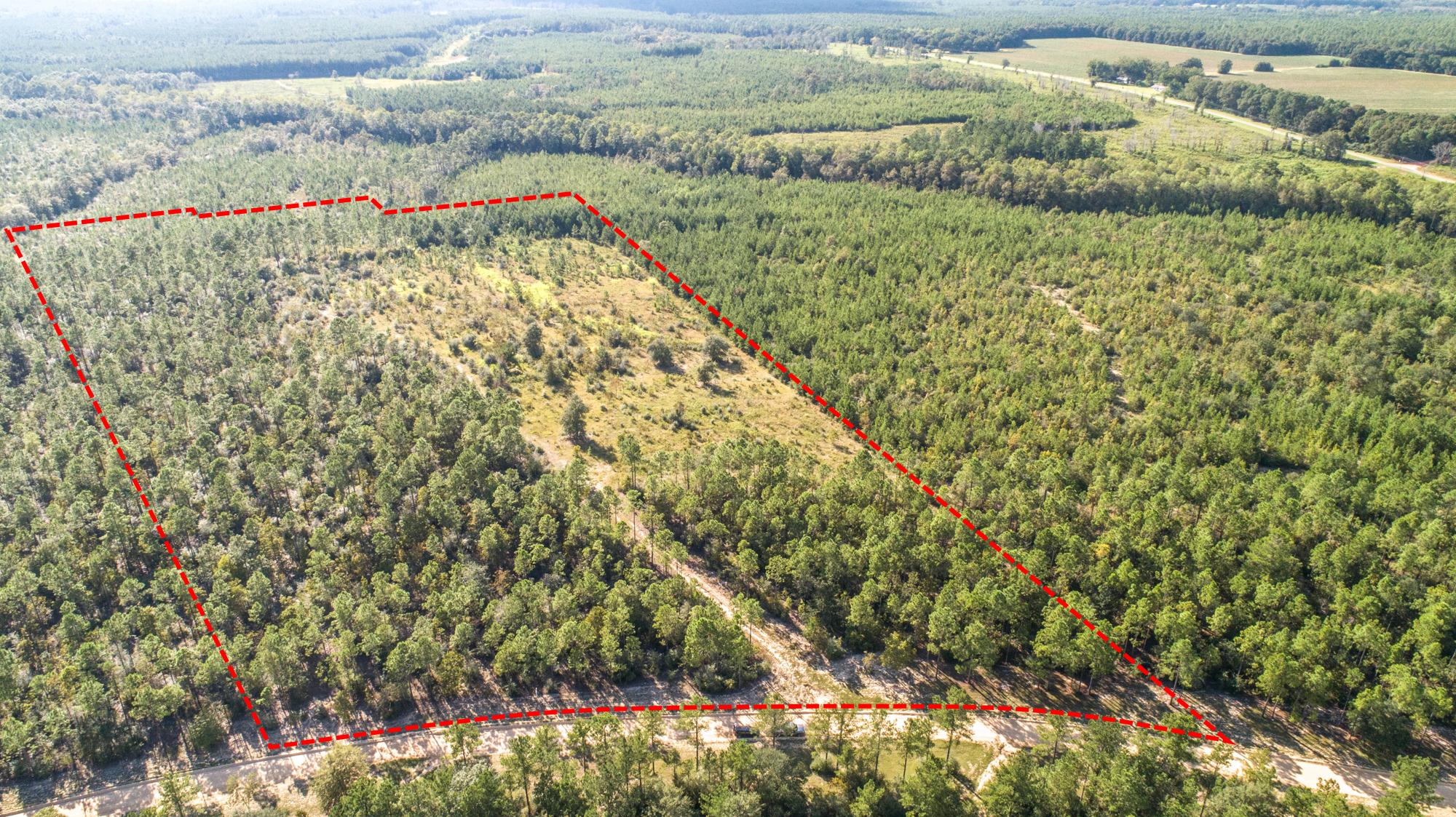 WALTON PLANTATION - Land