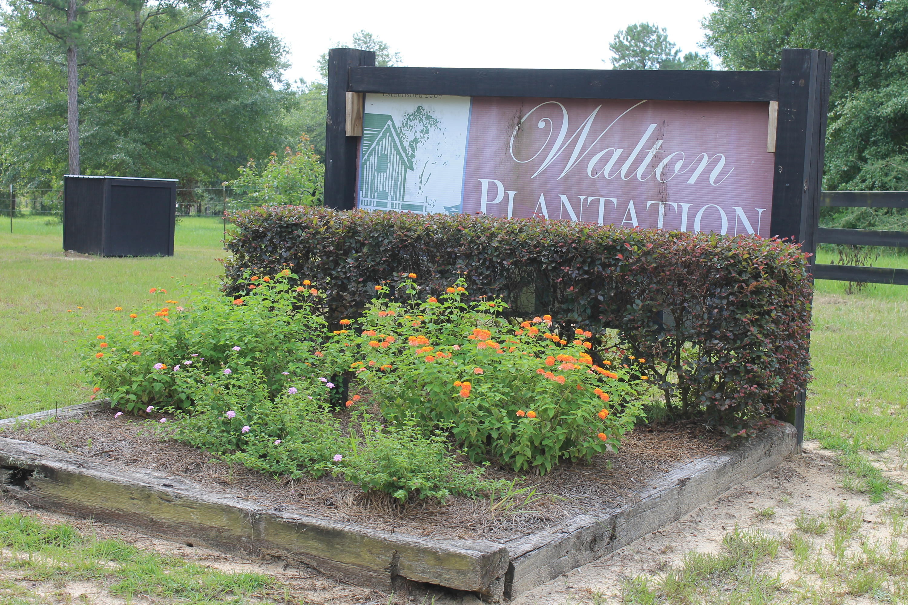 WALTON PLANTATION - Land